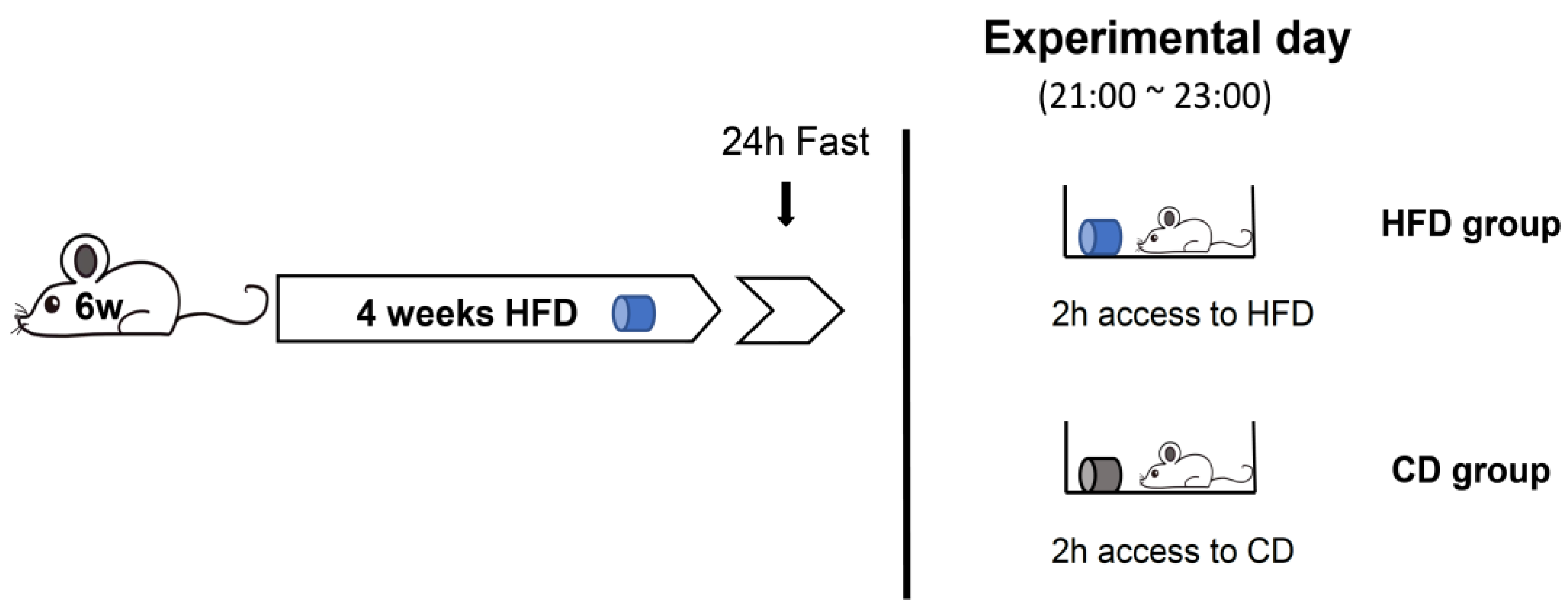 Nutrients 14 03835 g003 Nutrients 14 03835 g003