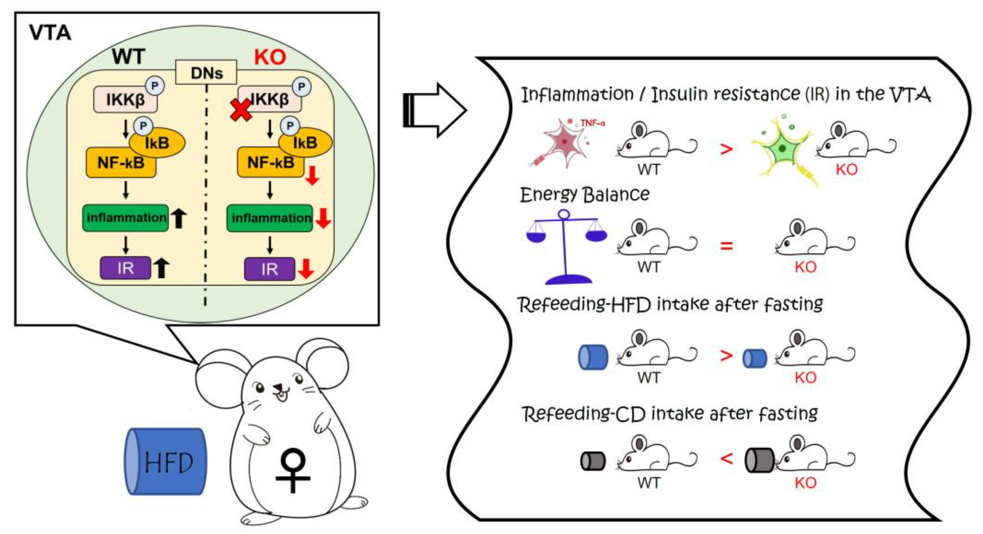 Nutrients 14 03835 g007 Nutrients 14 03835 g007