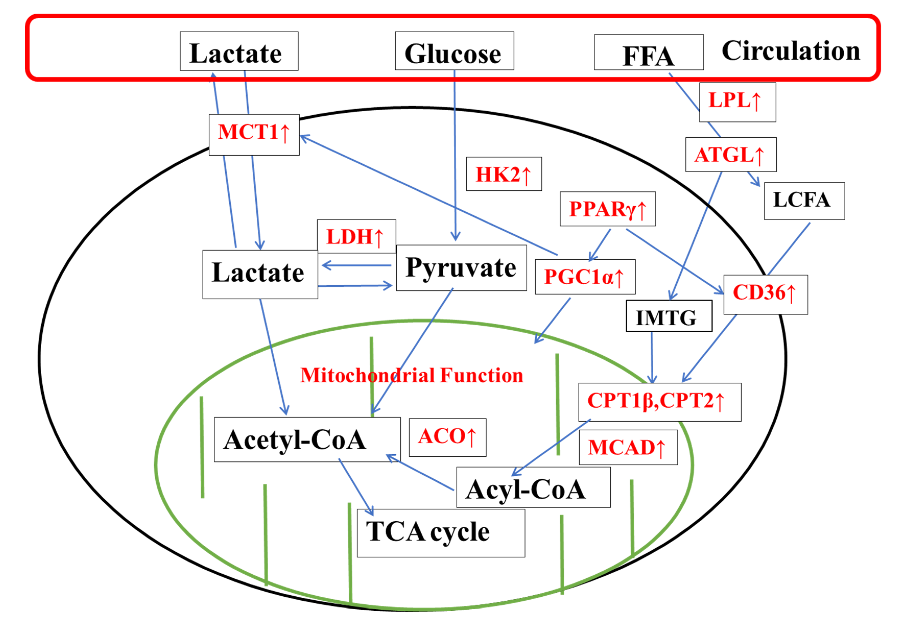 Nutrients 14 03845 g009 Nutrients 14 03845 g009