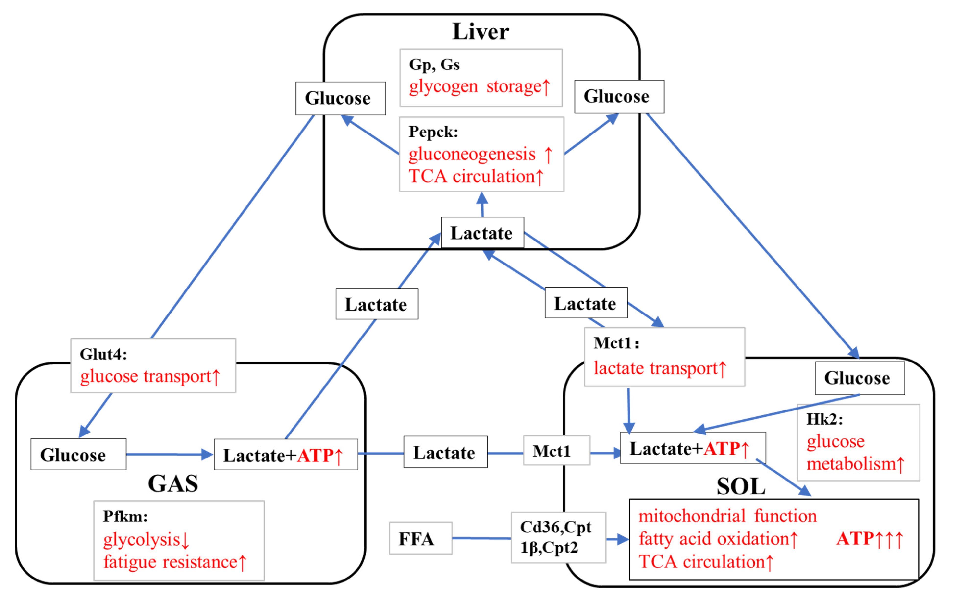 Nutrients 14 03845 g010 Nutrients 14 03845 g010