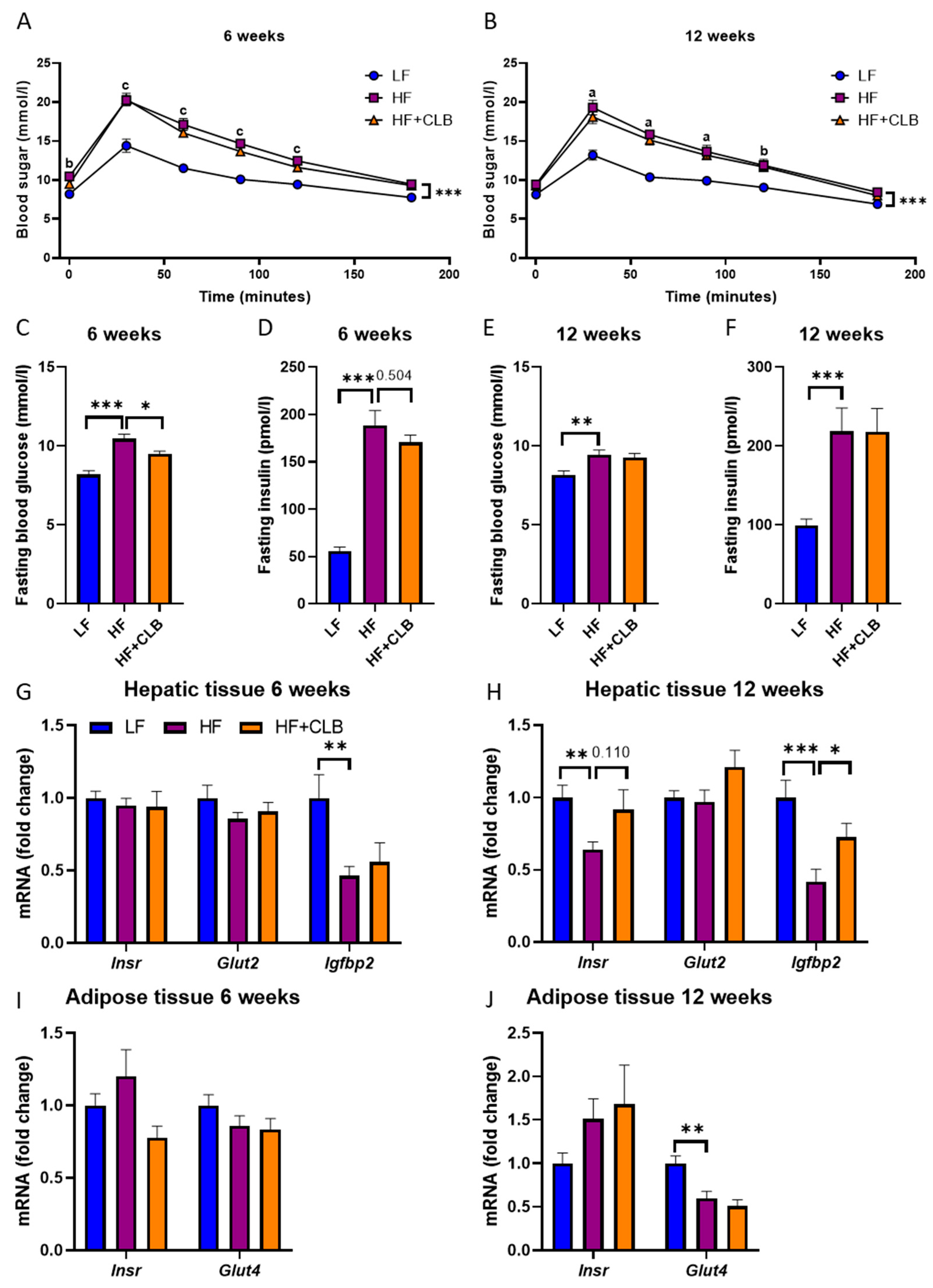 Nutrients 14 03846 g006 Nutrients 14 03846 g006