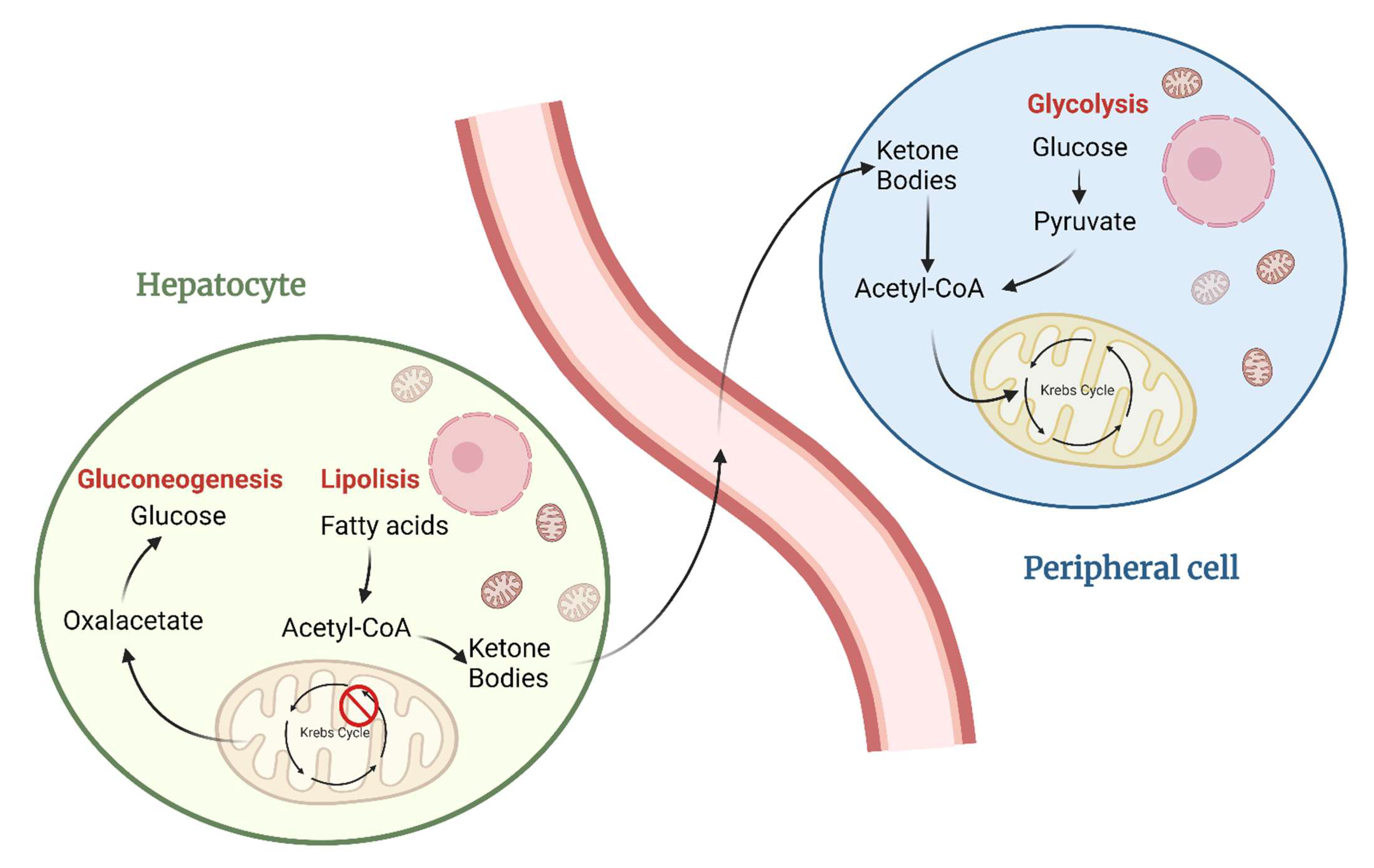 Nutrients 14 03851 g002
