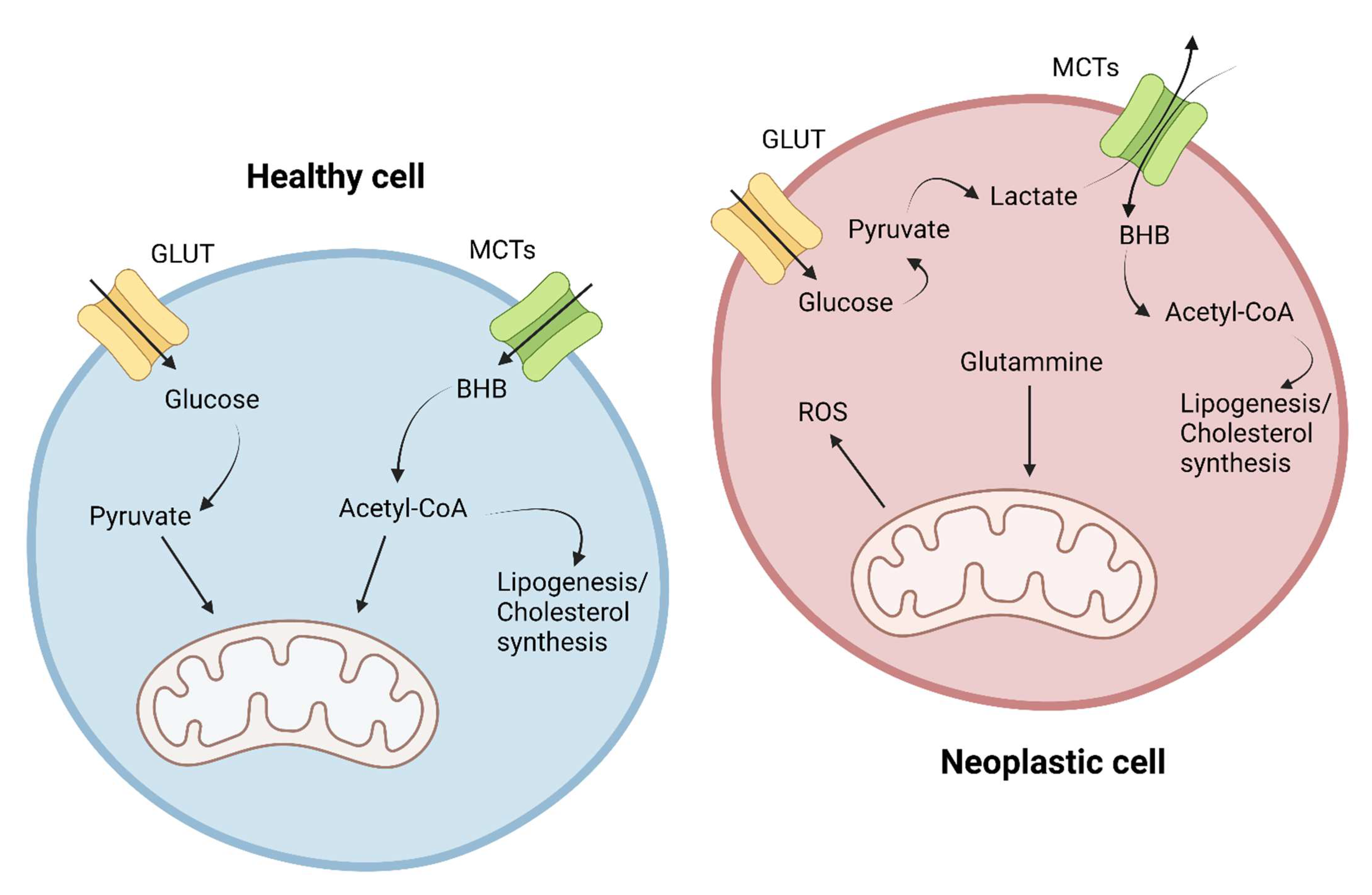 Nutrients 14 03851 g003