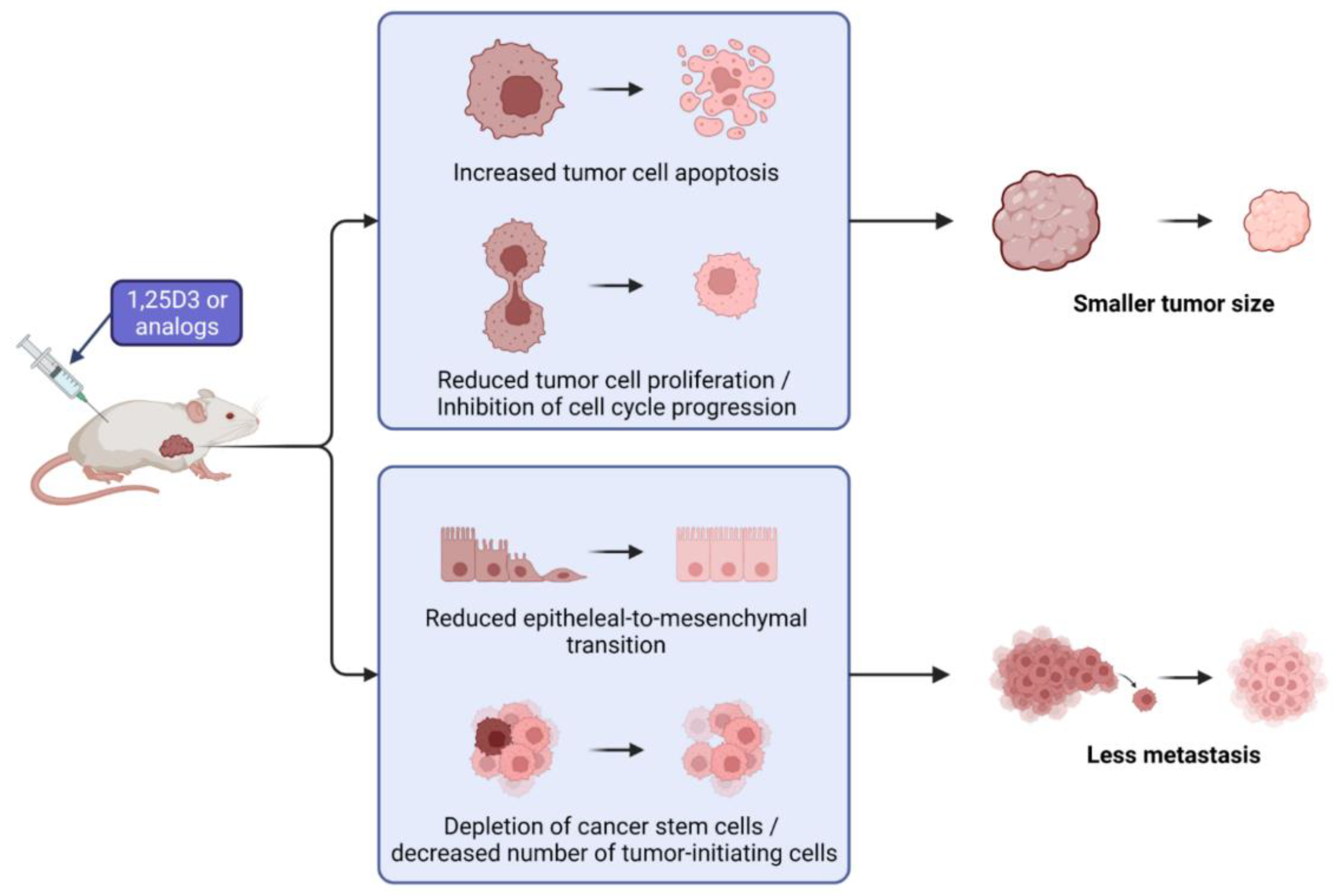 Nutrients 14 03867 g004 Nutrients 14 03867 g004