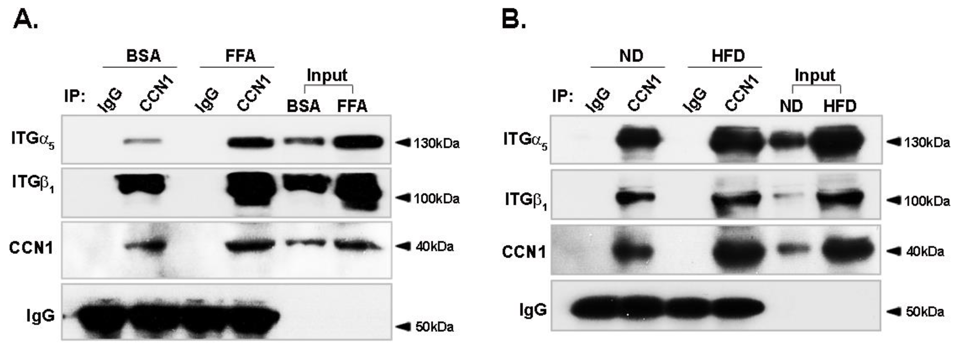 Nutrients 14 03871 g005 Nutrients 14 03871 g005
