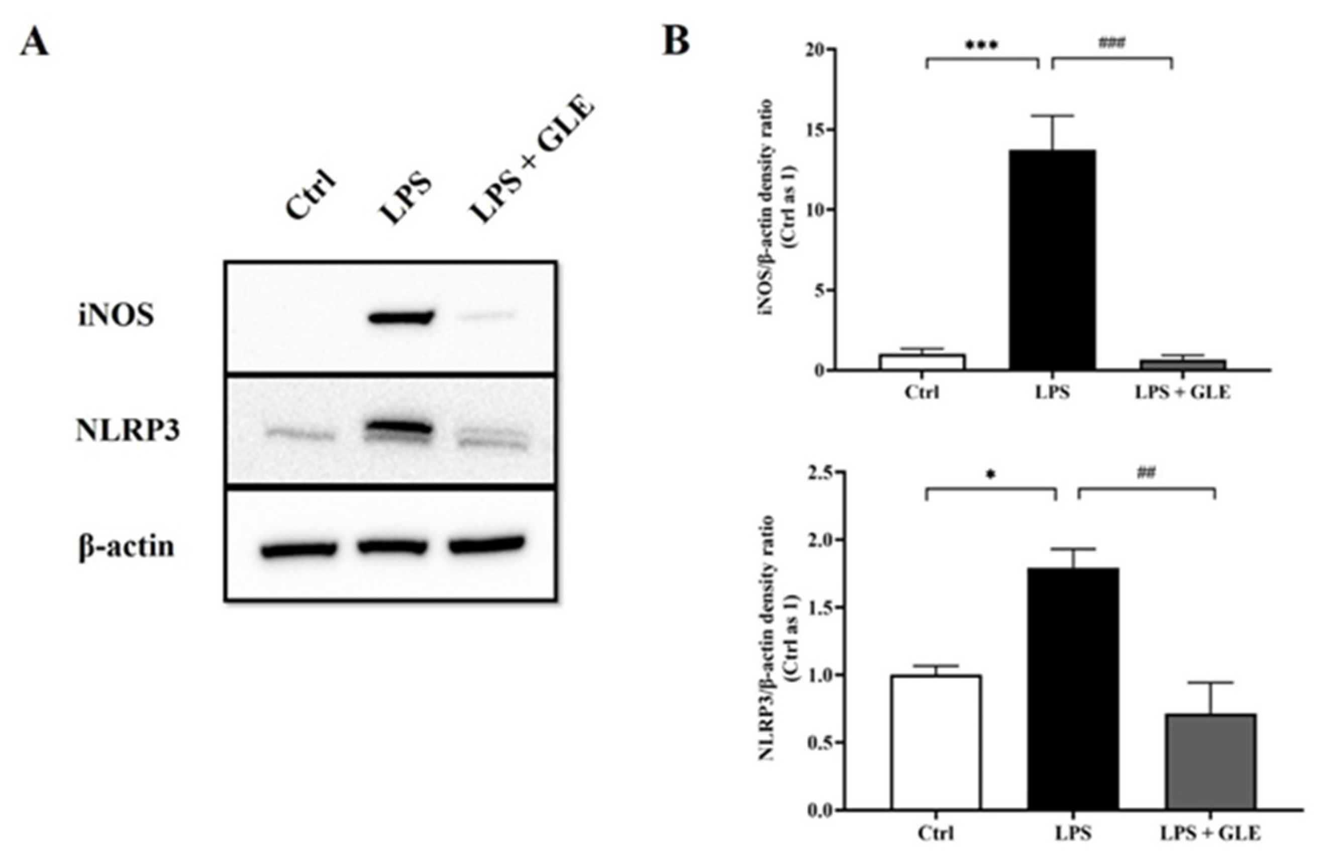 Nutrients 14 03872 g005 Nutrients 14 03872 g005