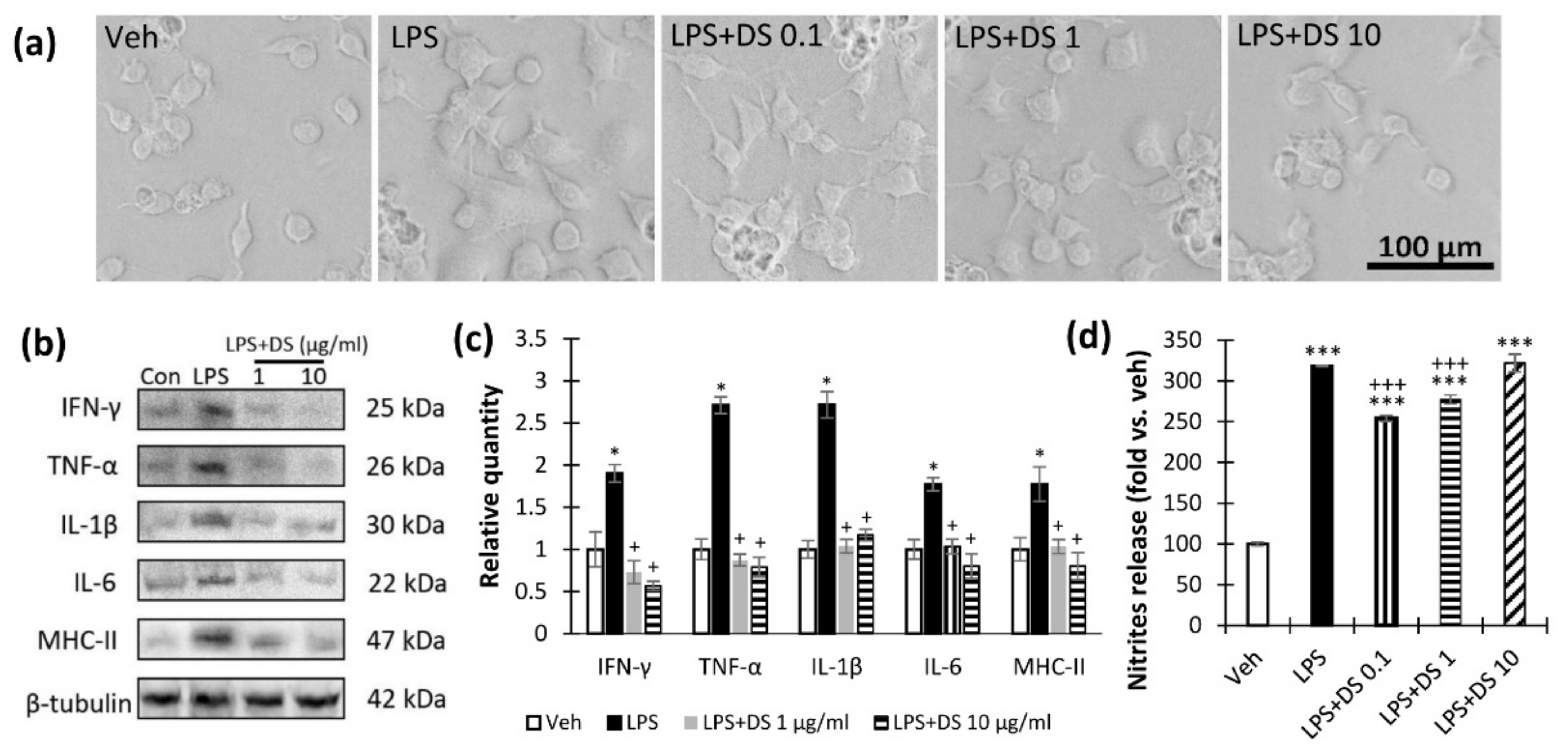 Nutrients 14 03879 g003 Nutrients 14 03879 g003