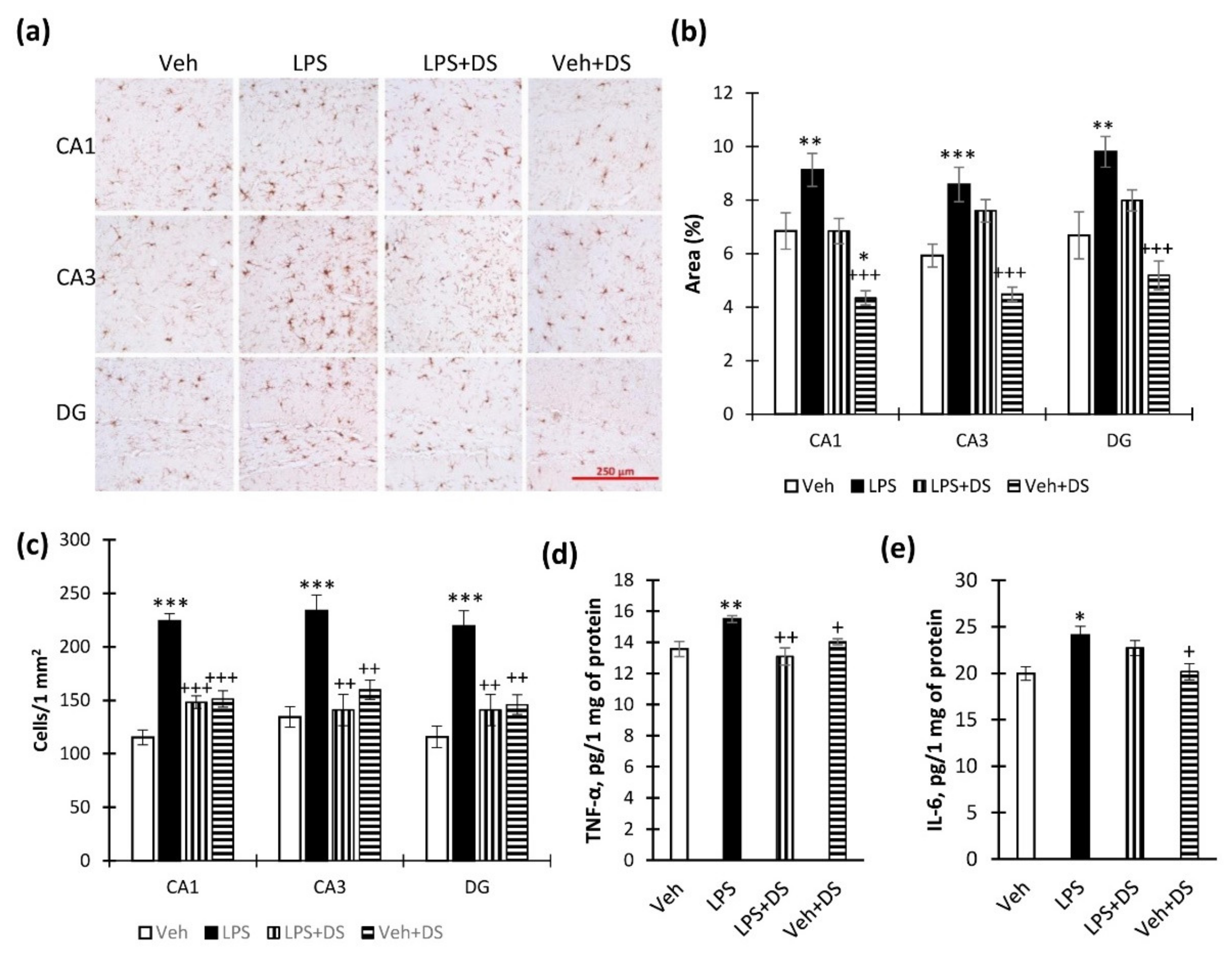 Nutrients 14 03879 g006 Nutrients 14 03879 g006