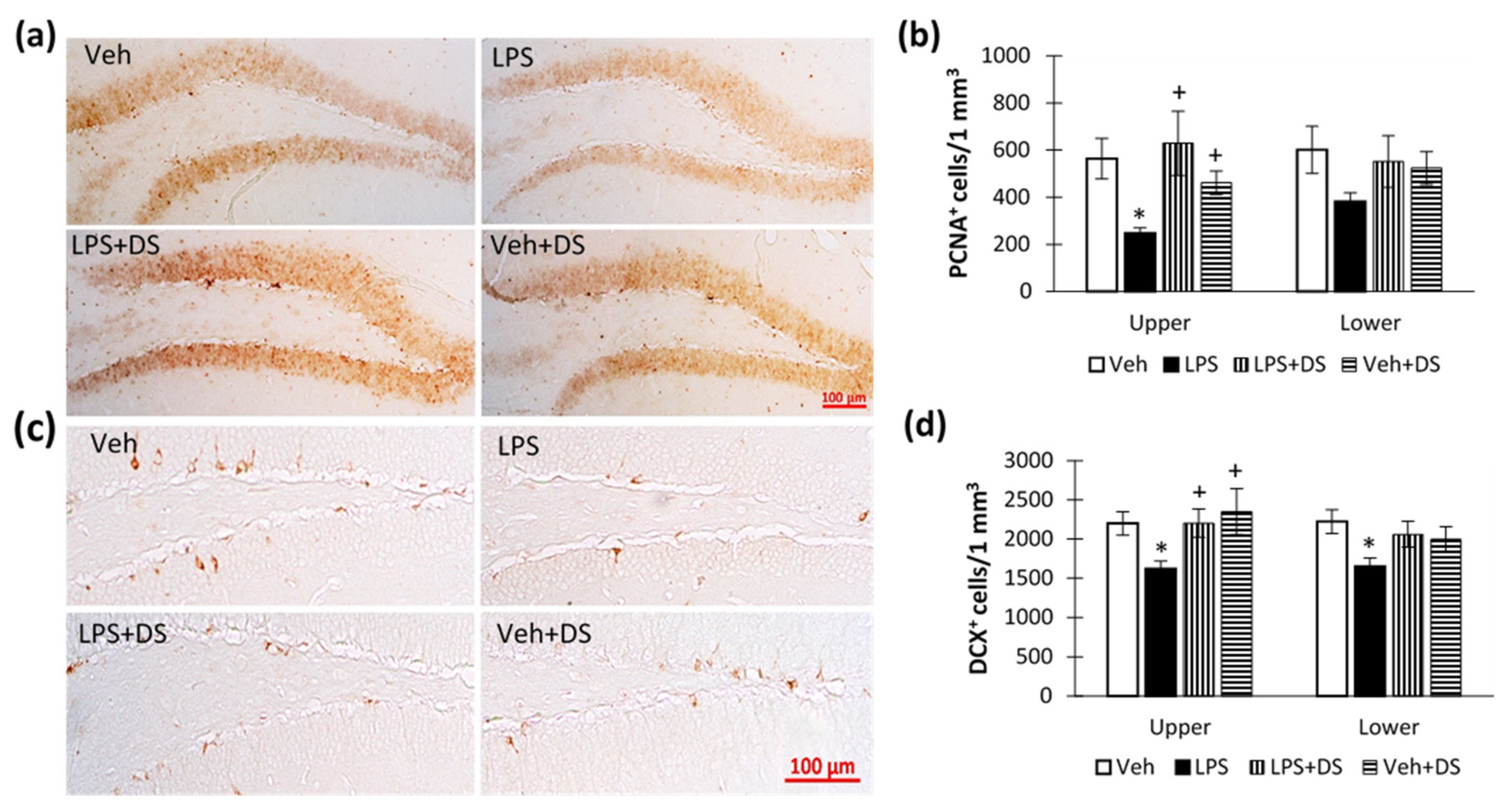 Nutrients 14 03879 g008 Nutrients 14 03879 g008