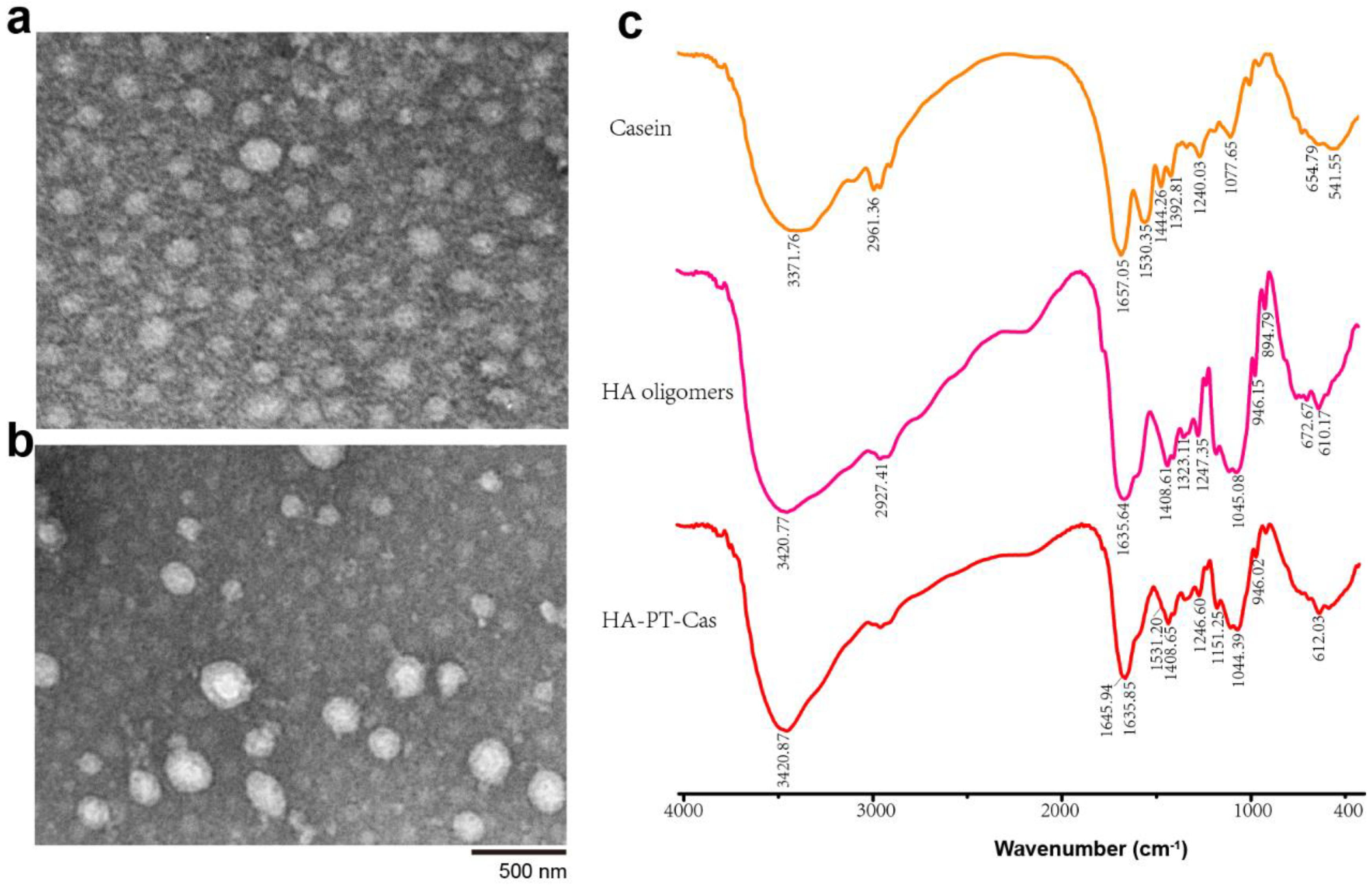 Nutrients 14 03888 g003 Nutrients 14 03888 g003