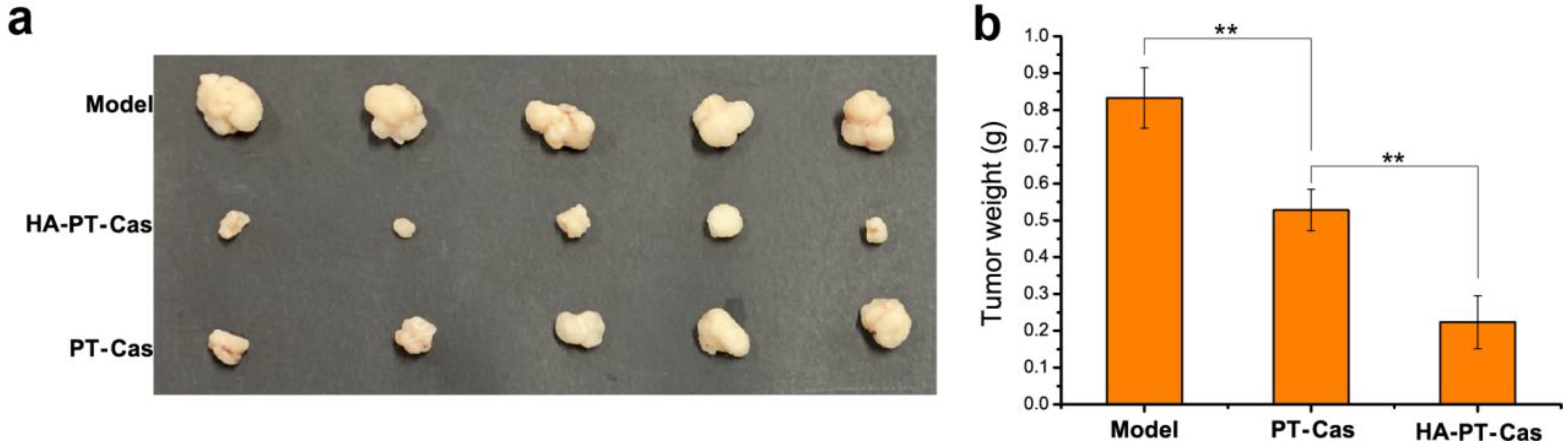 Nutrients 14 03888 g005 Nutrients 14 03888 g005