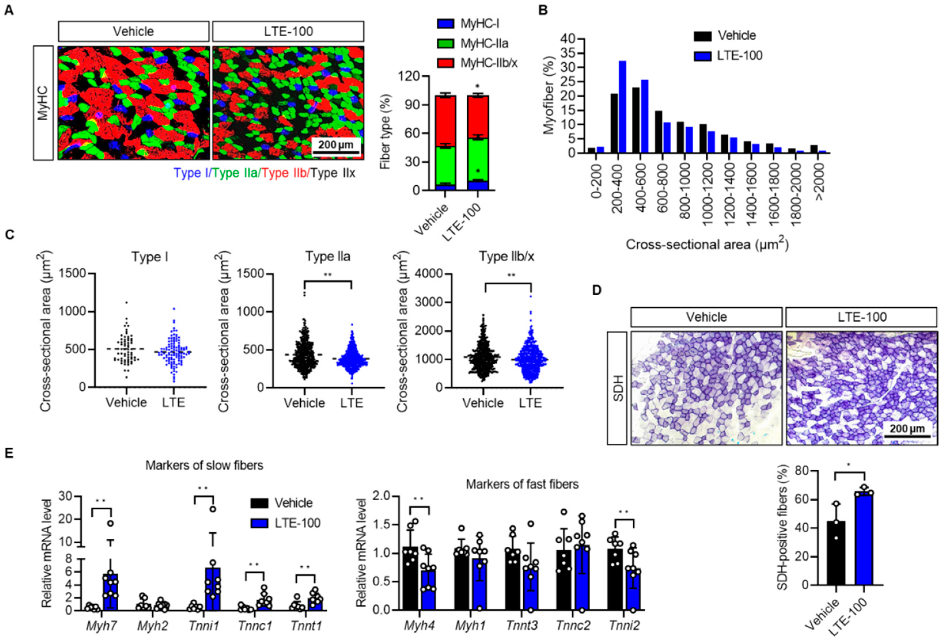 Nutrients 14 03904 g003 Nutrients 14 03904 g003