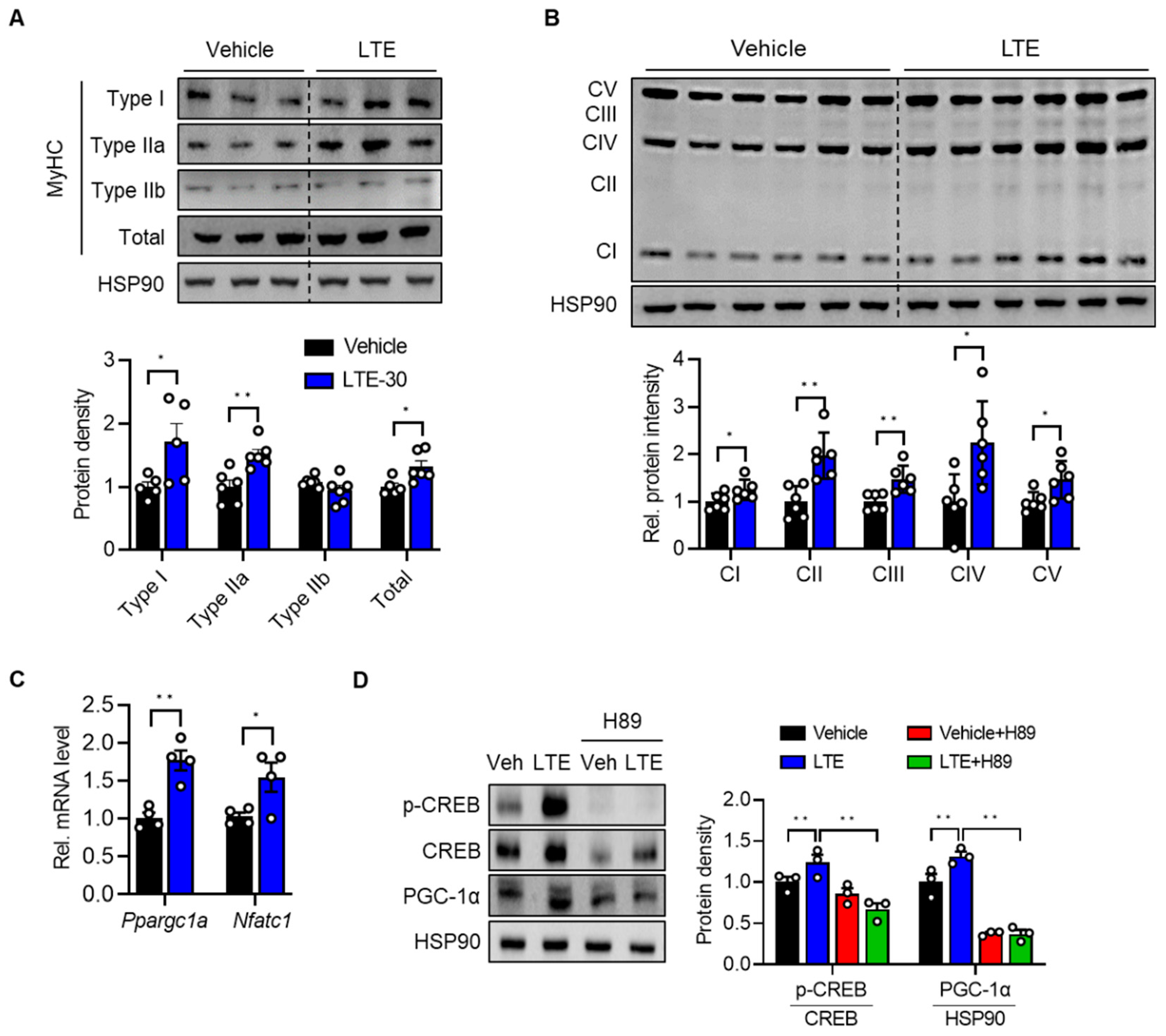 Nutrients 14 03904 g006 Nutrients 14 03904 g006