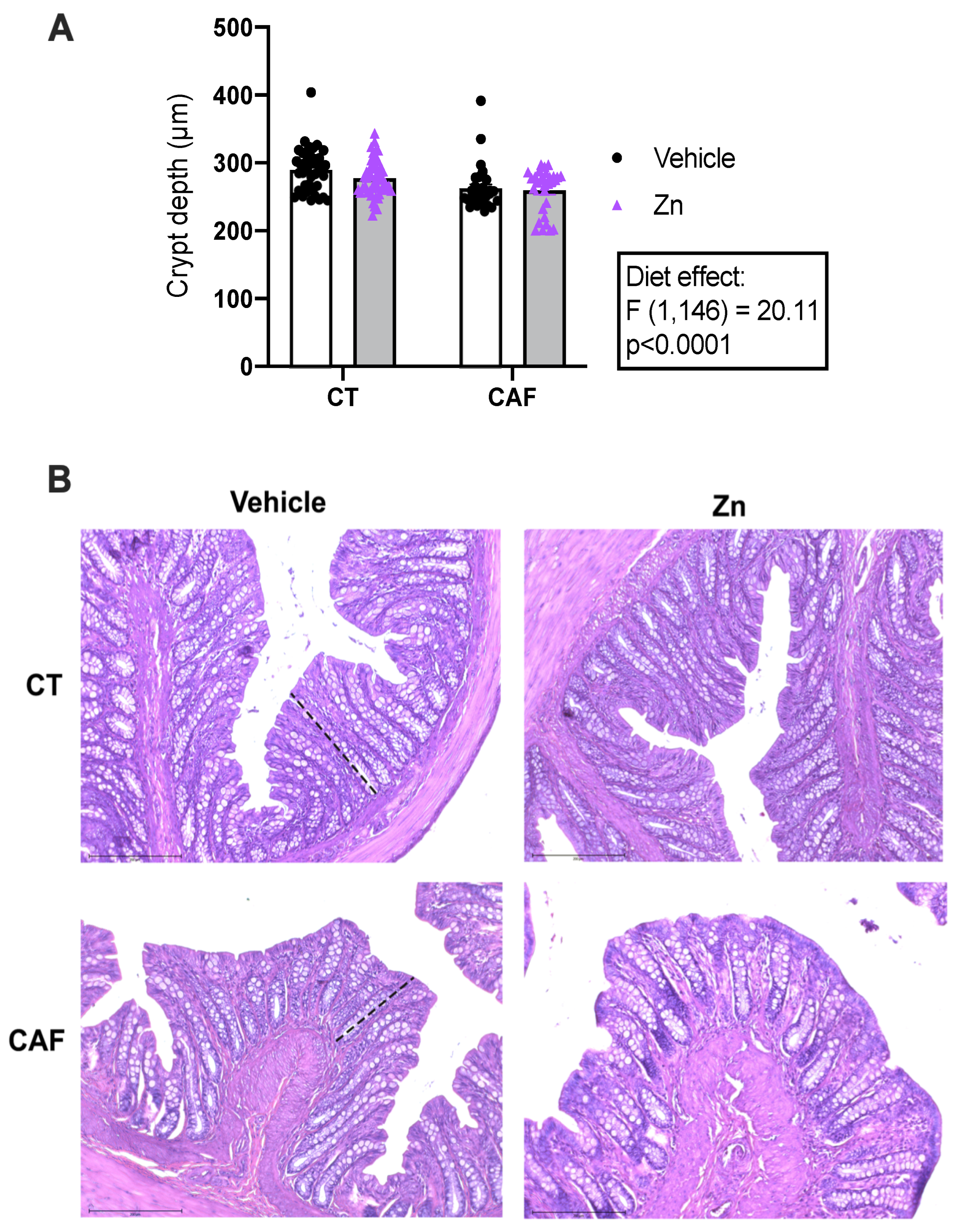 Nutrients 14 03921 g001