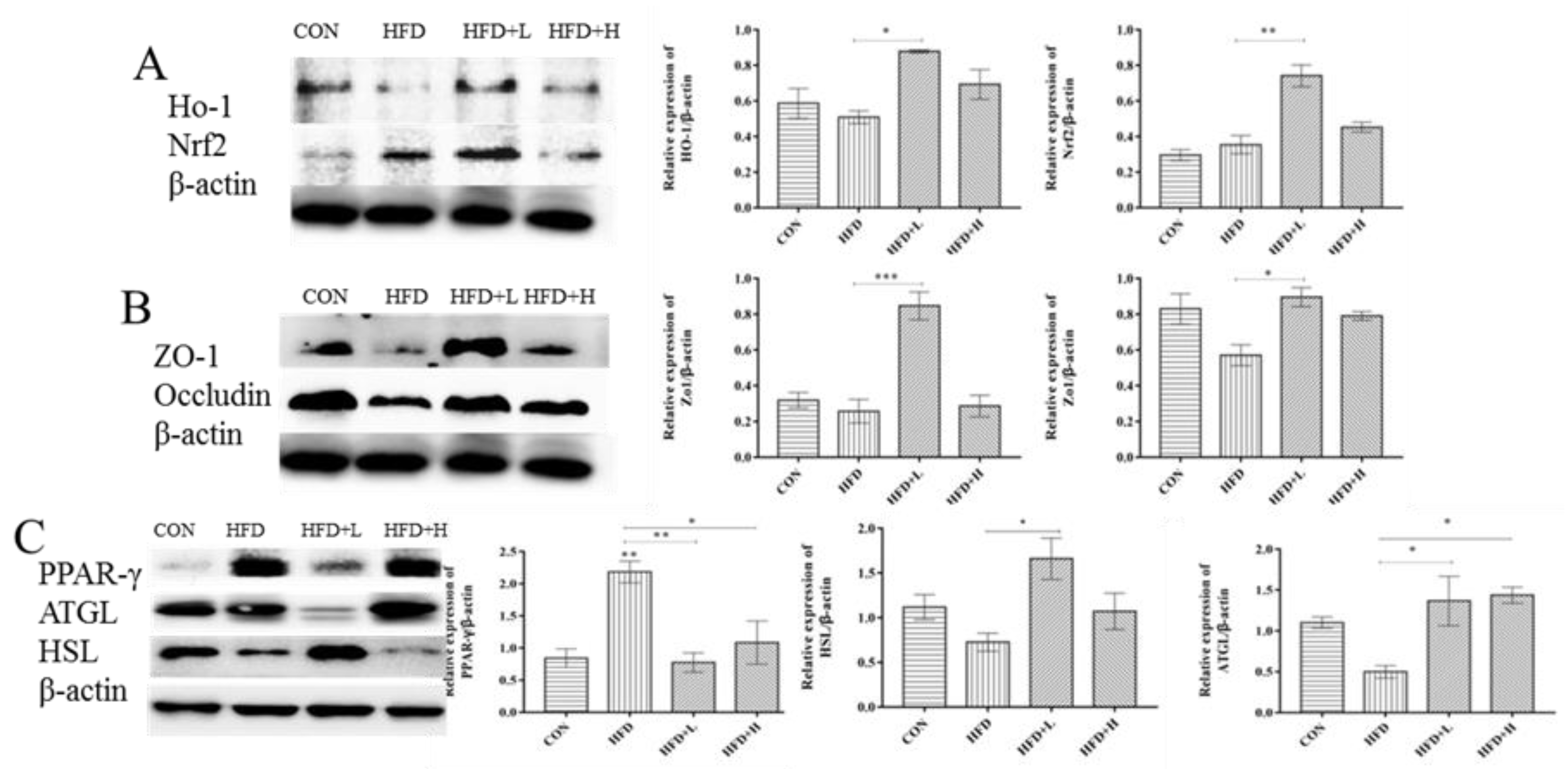 Nutrients 14 03928 g007 Nutrients 14 03928 g007