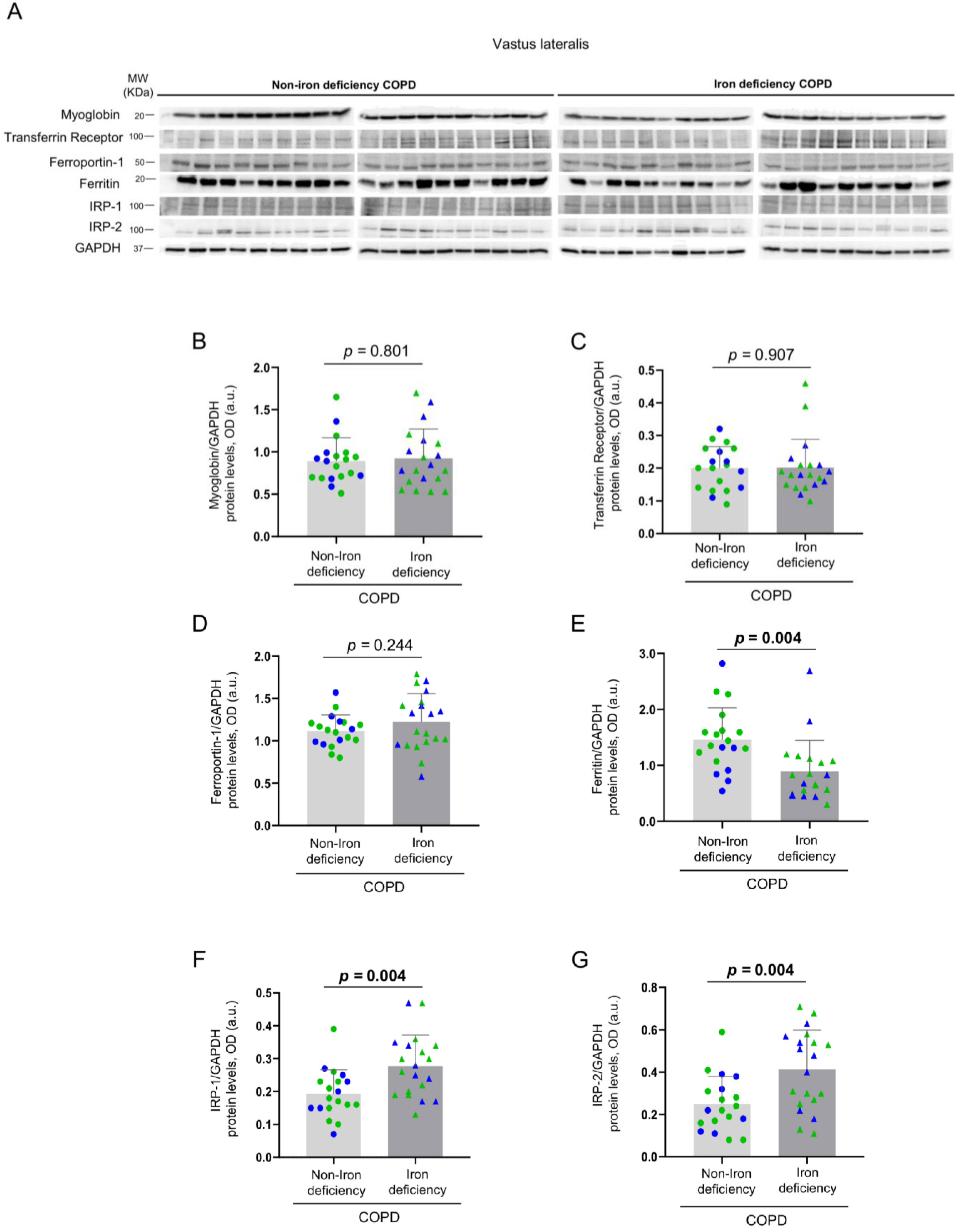 Nutrients 14 03929 g008 Nutrients 14 03929 g008