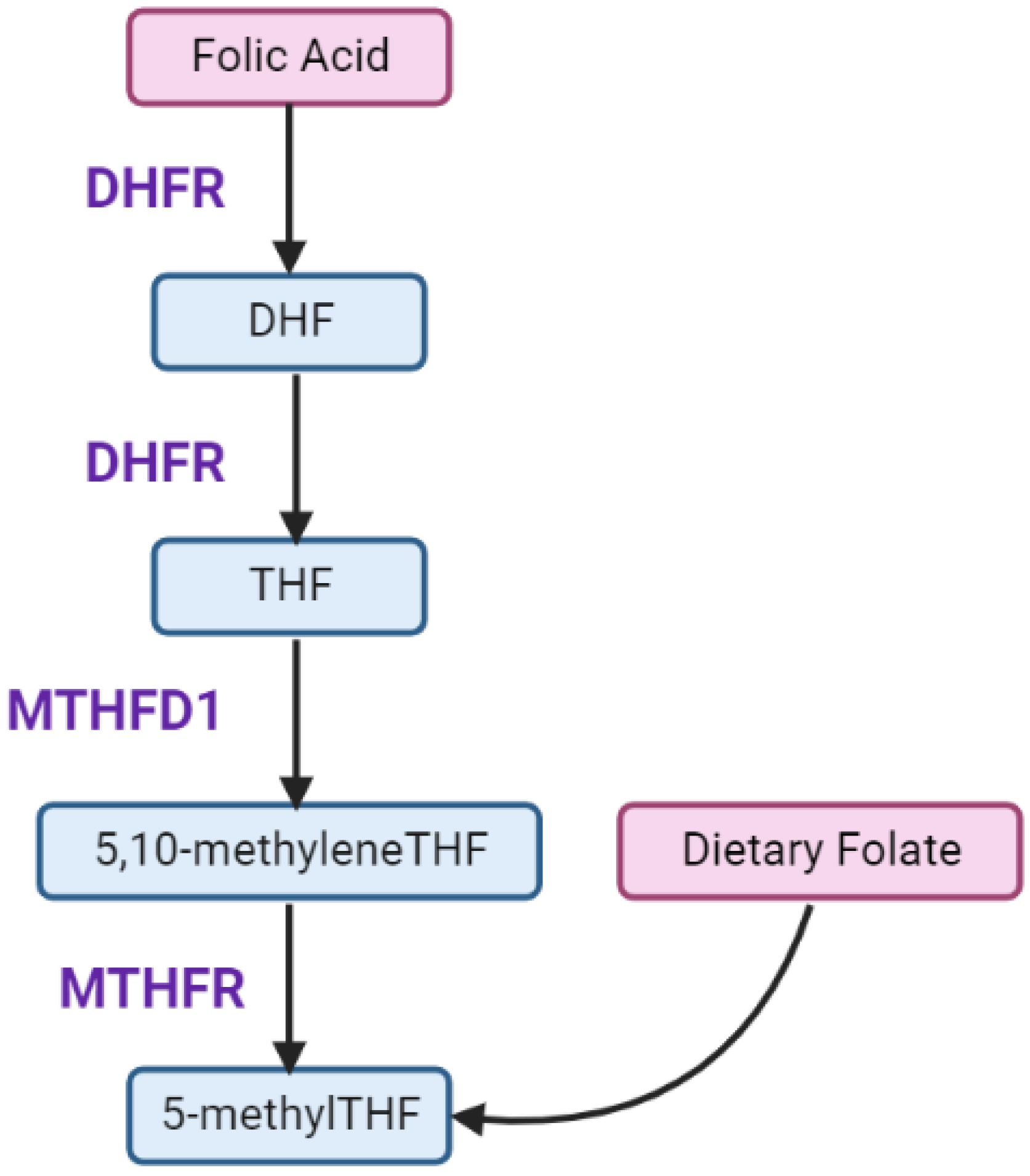 Nutrients 14 03930 g002