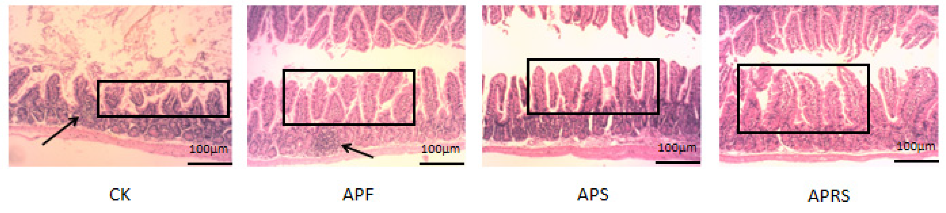 Nutrients 14 03931 g006