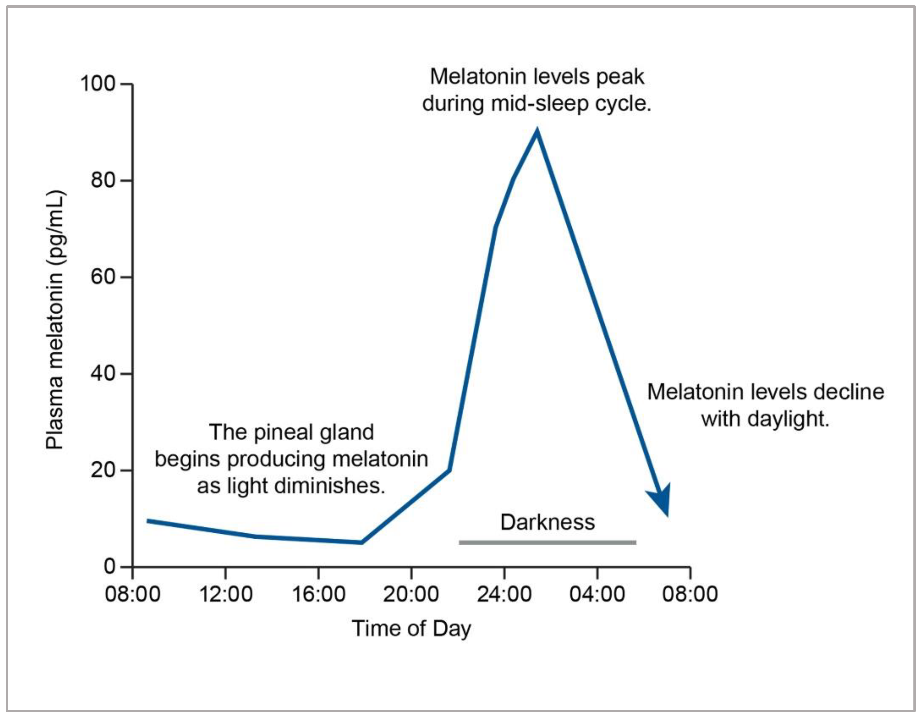 Nutrients Free FullText Is Melatonin the “Next Vitamin D”? A