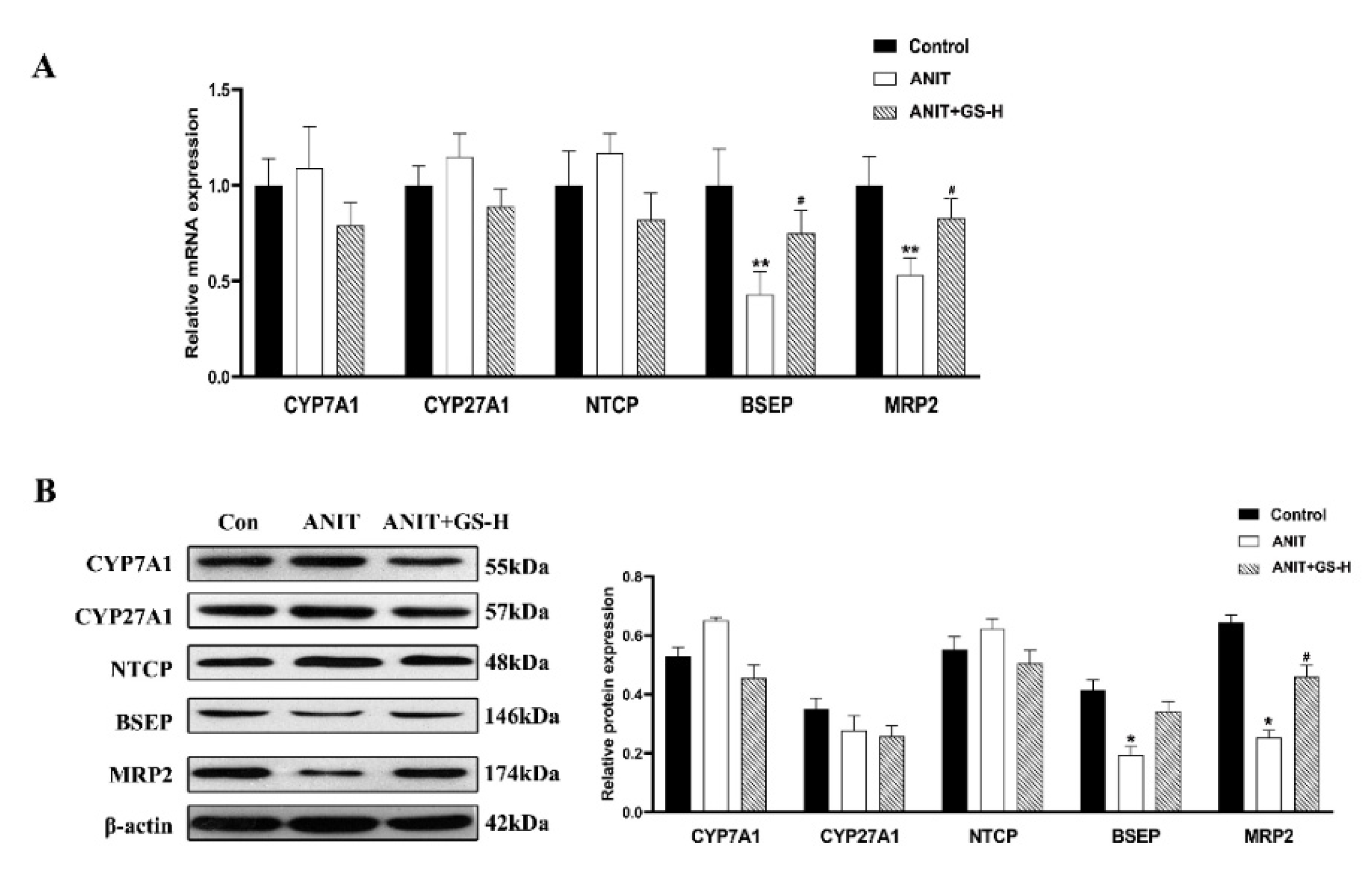 Nutrients 14 03938 g003 Nutrients 14 03938 g003