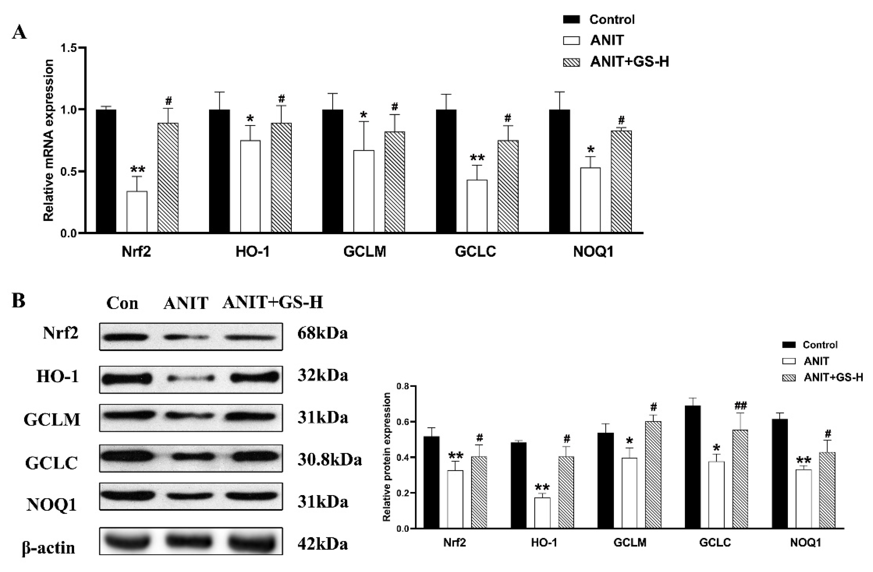 Nutrients 14 03938 g006 Nutrients 14 03938 g006