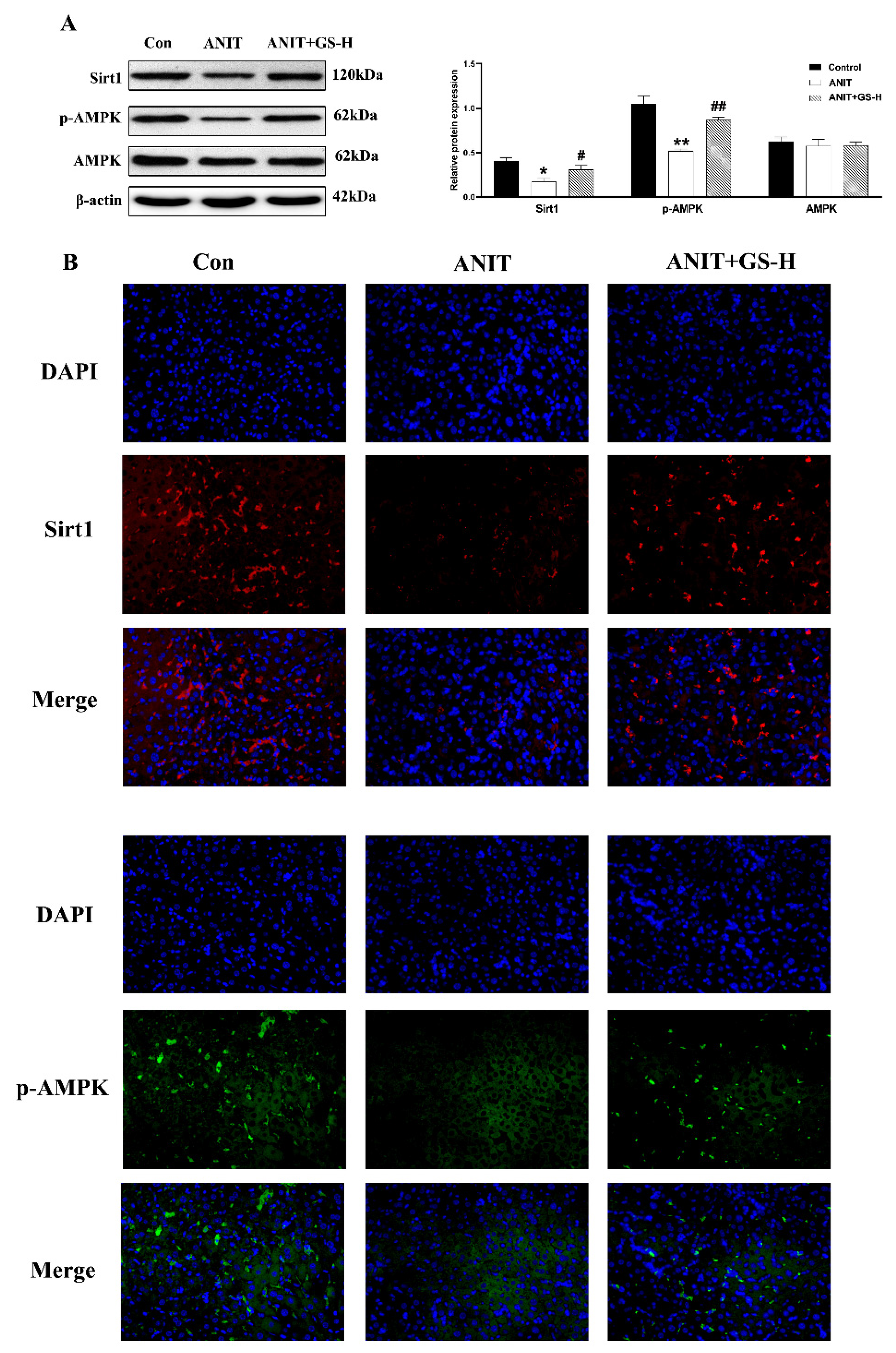Nutrients 14 03938 g007 Nutrients 14 03938 g007