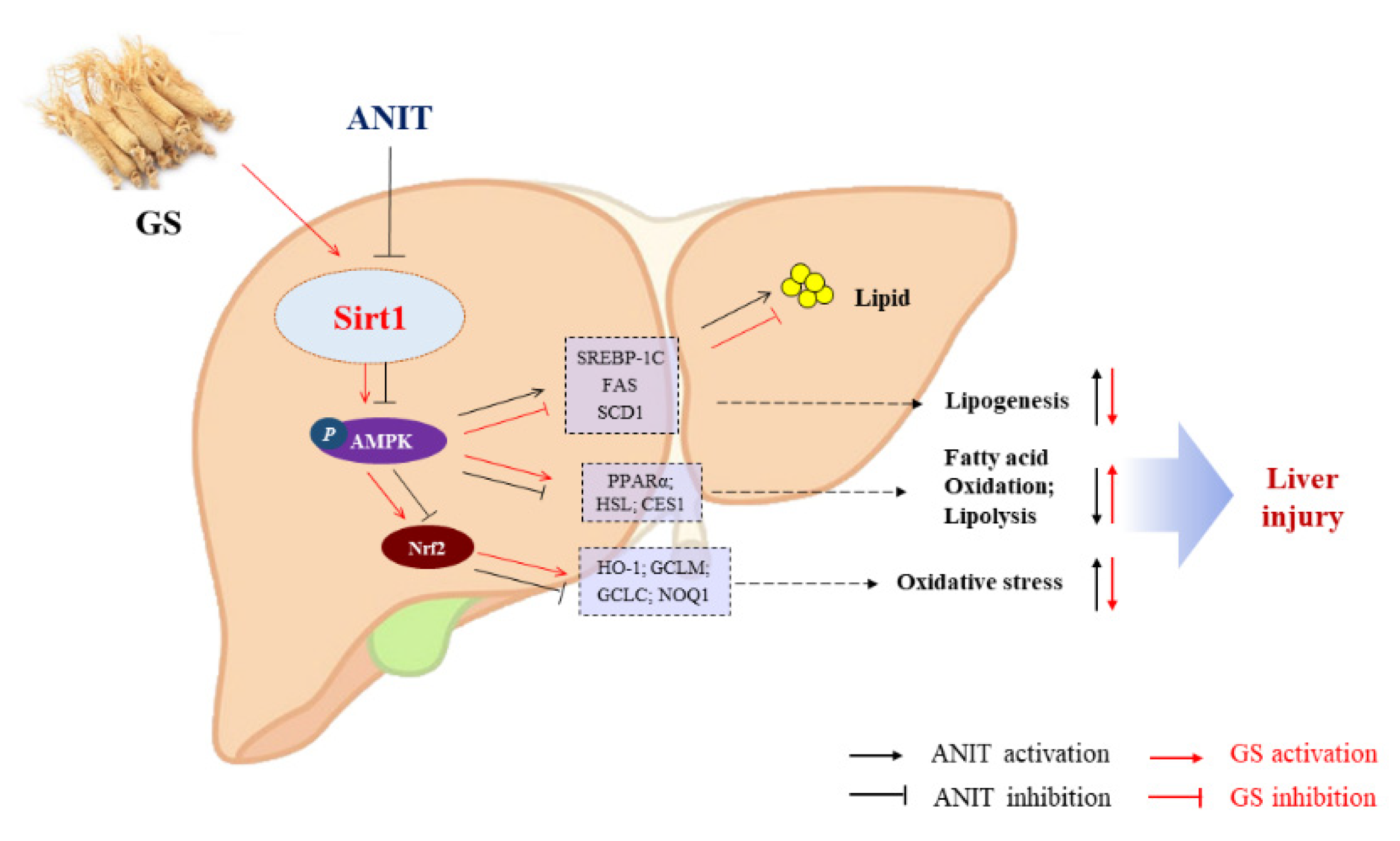 Nutrients 14 03938 g011 Nutrients 14 03938 g011