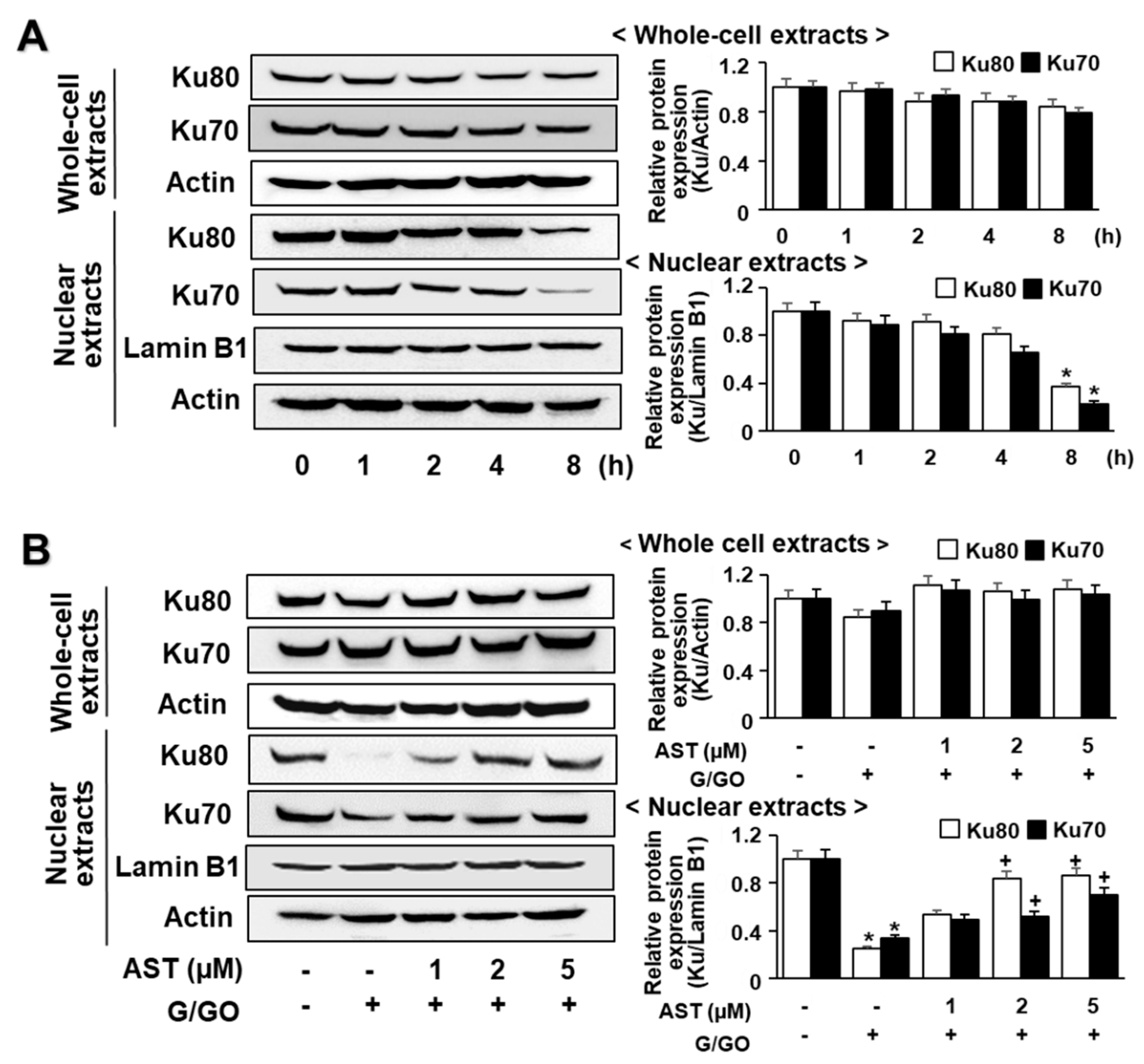 Nutrients 14 03939 g004
