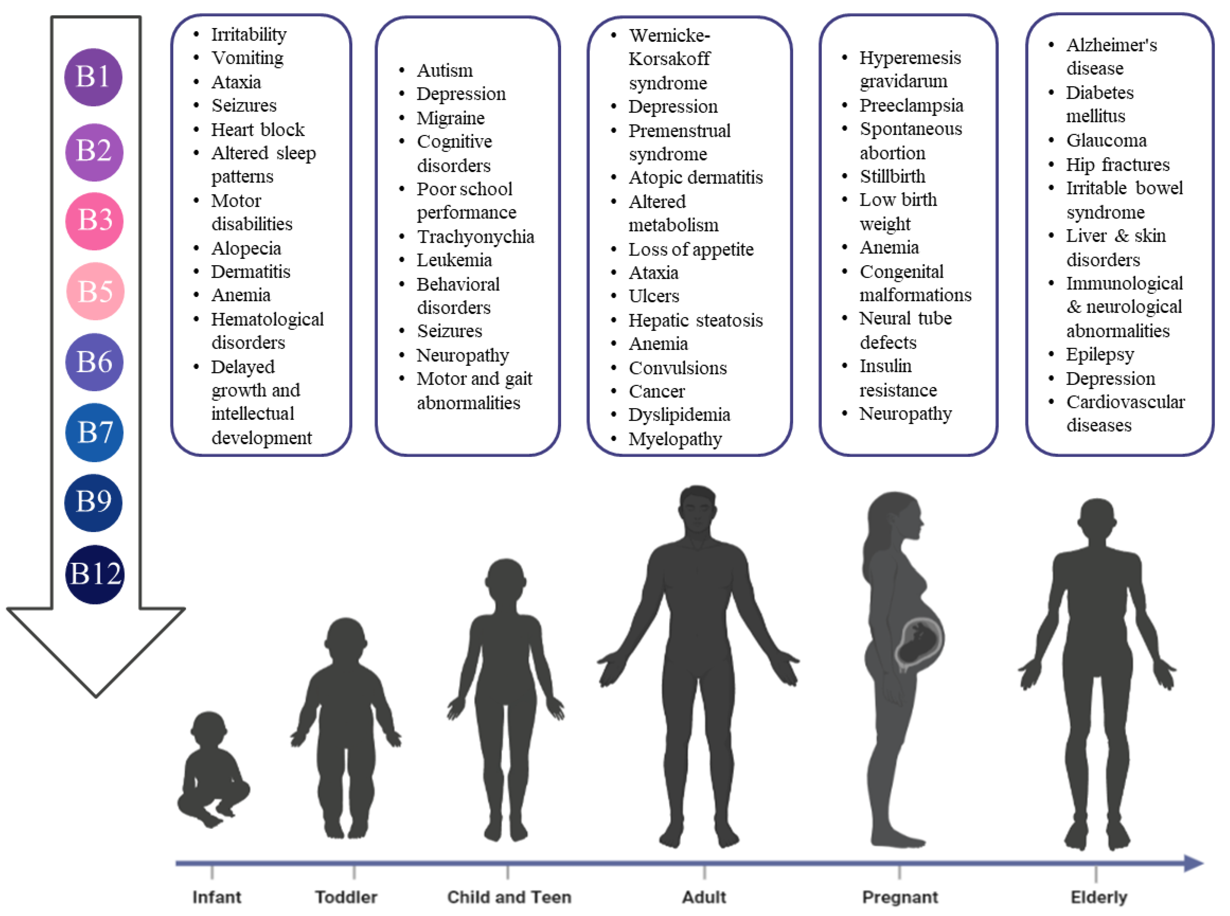 Nutrients 14 03940 g002