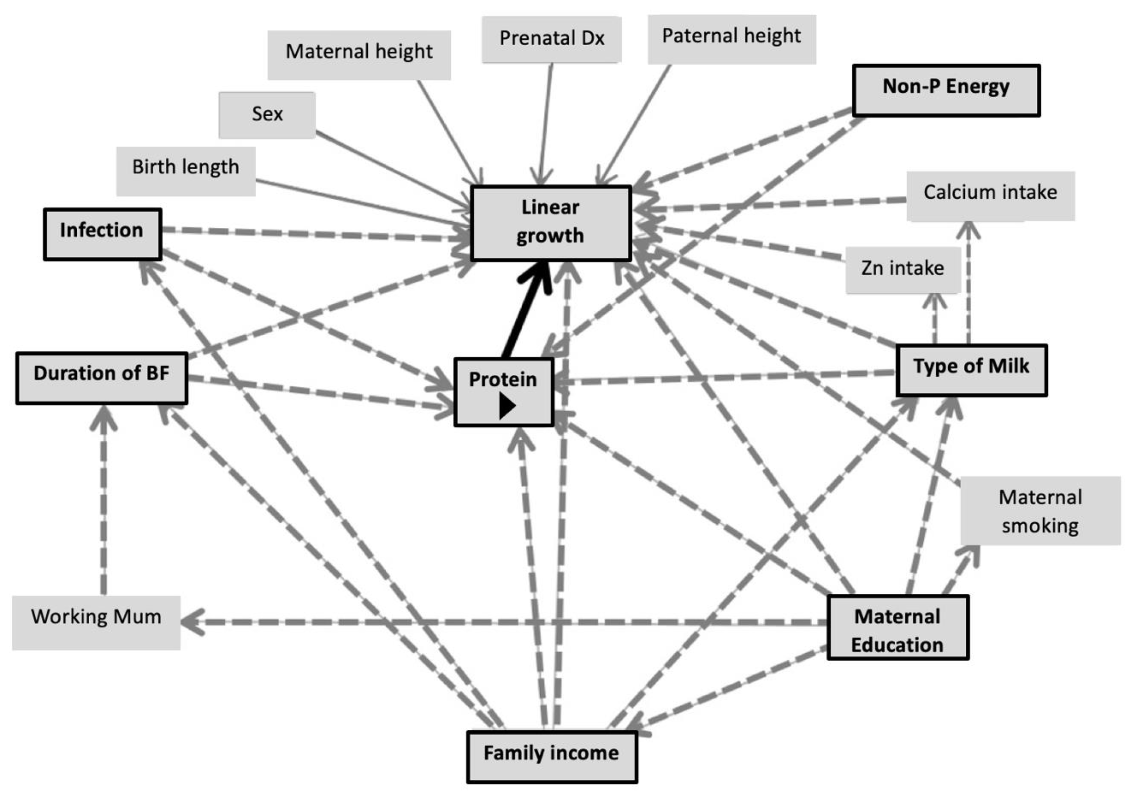 Nutrients 14 03948 g003b
