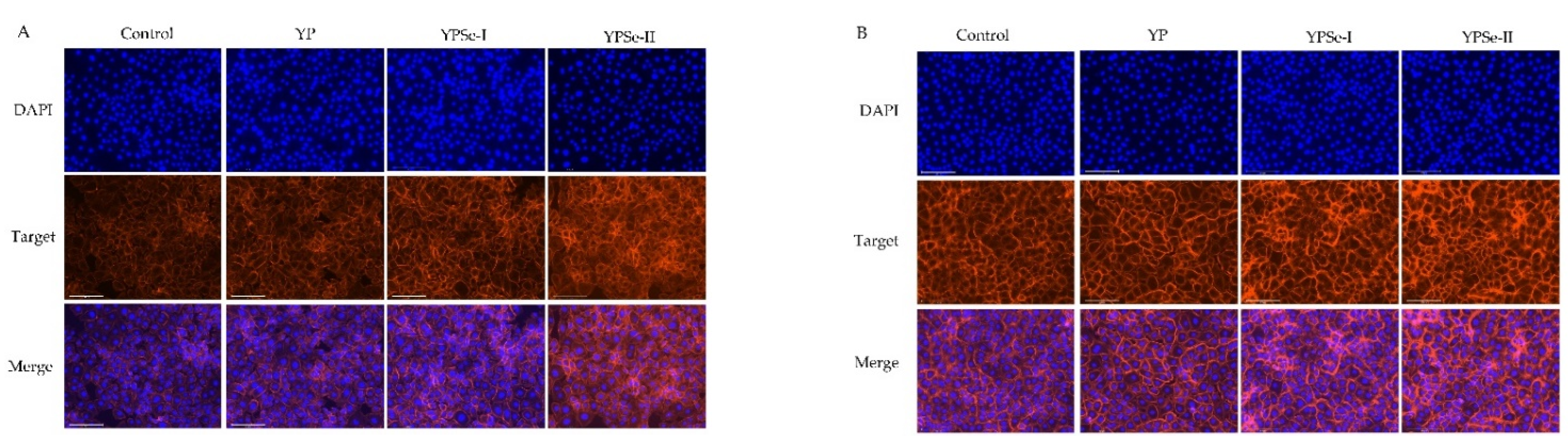 Nutrients 14 03950 g006