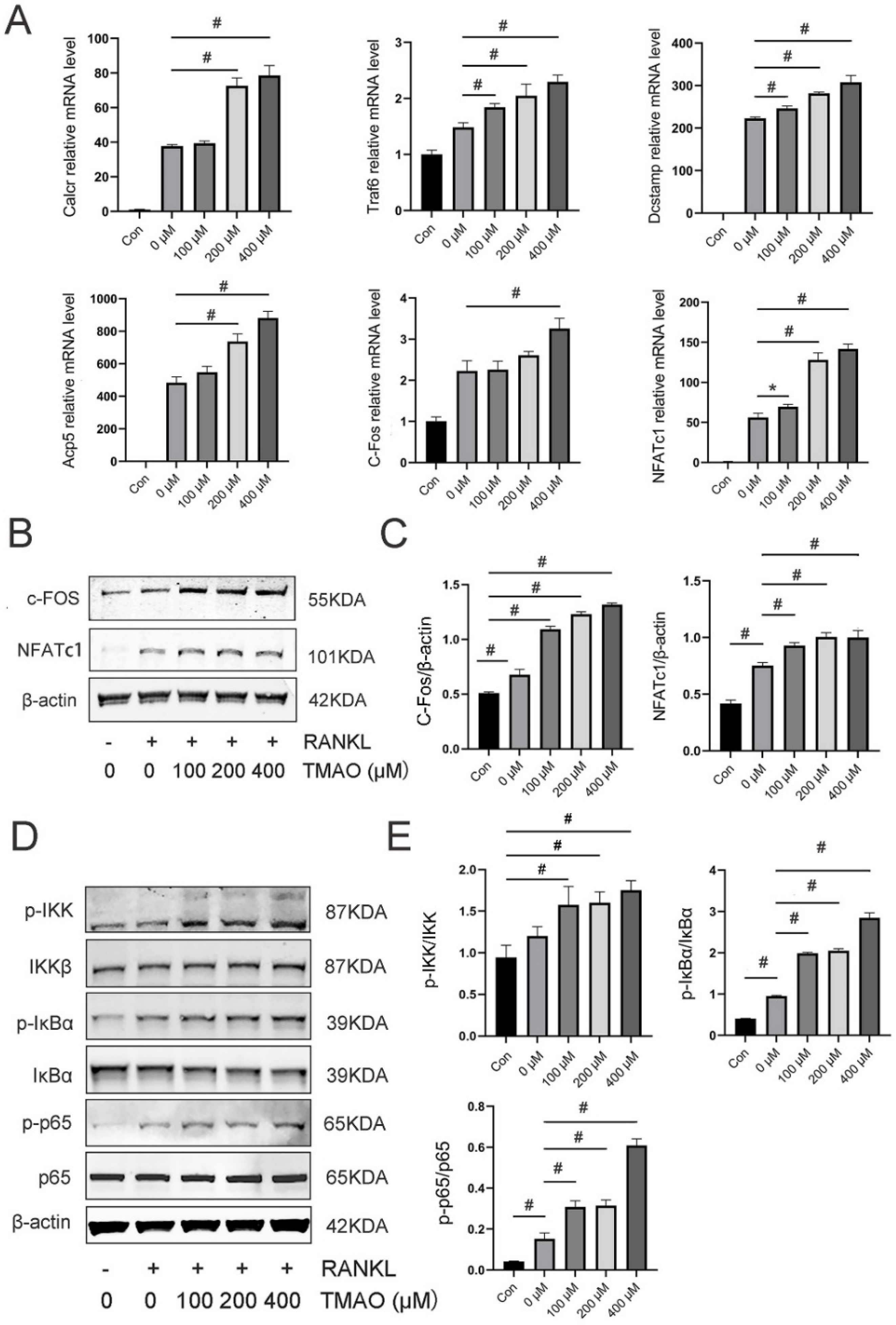Nutrients 14 03955 g003 Nutrients 14 03955 g003
