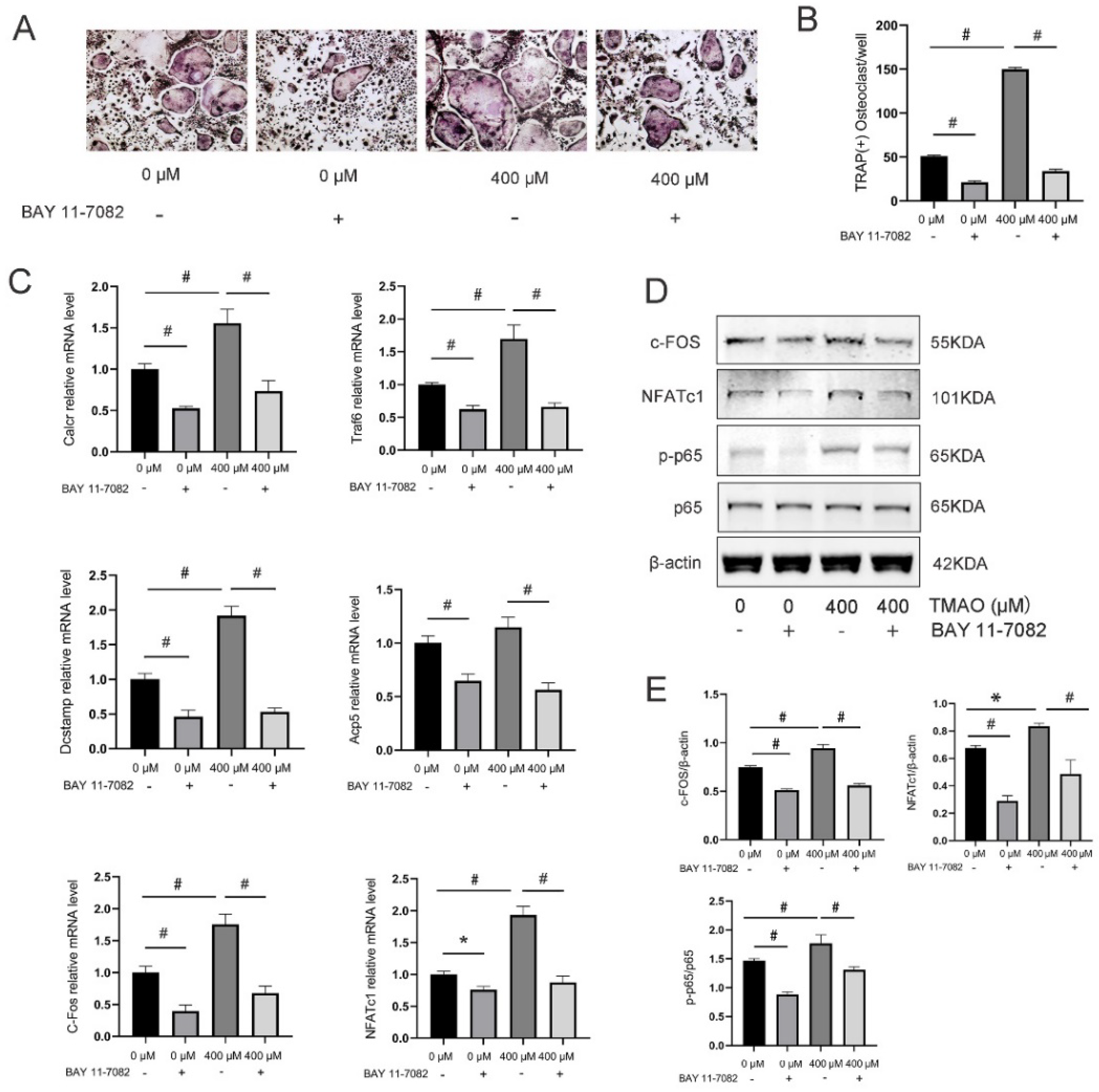 Nutrients 14 03955 g004 Nutrients 14 03955 g004