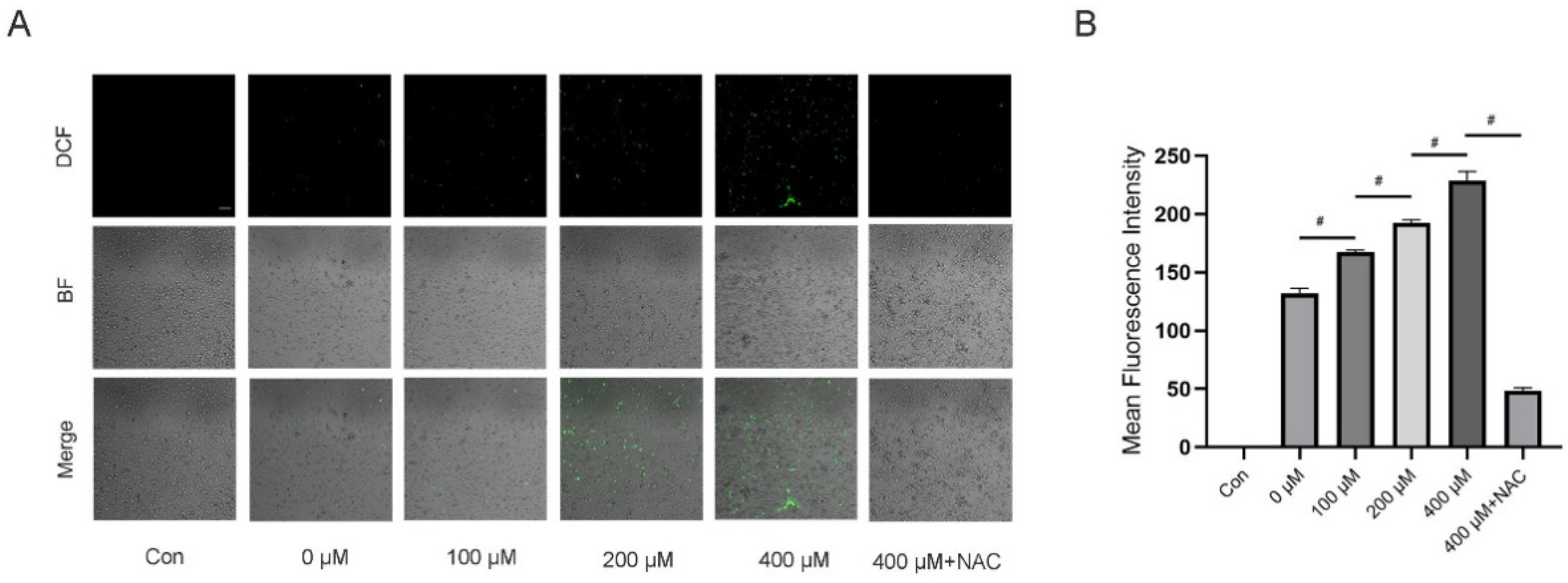 Nutrients 14 03955 g005 Nutrients 14 03955 g005