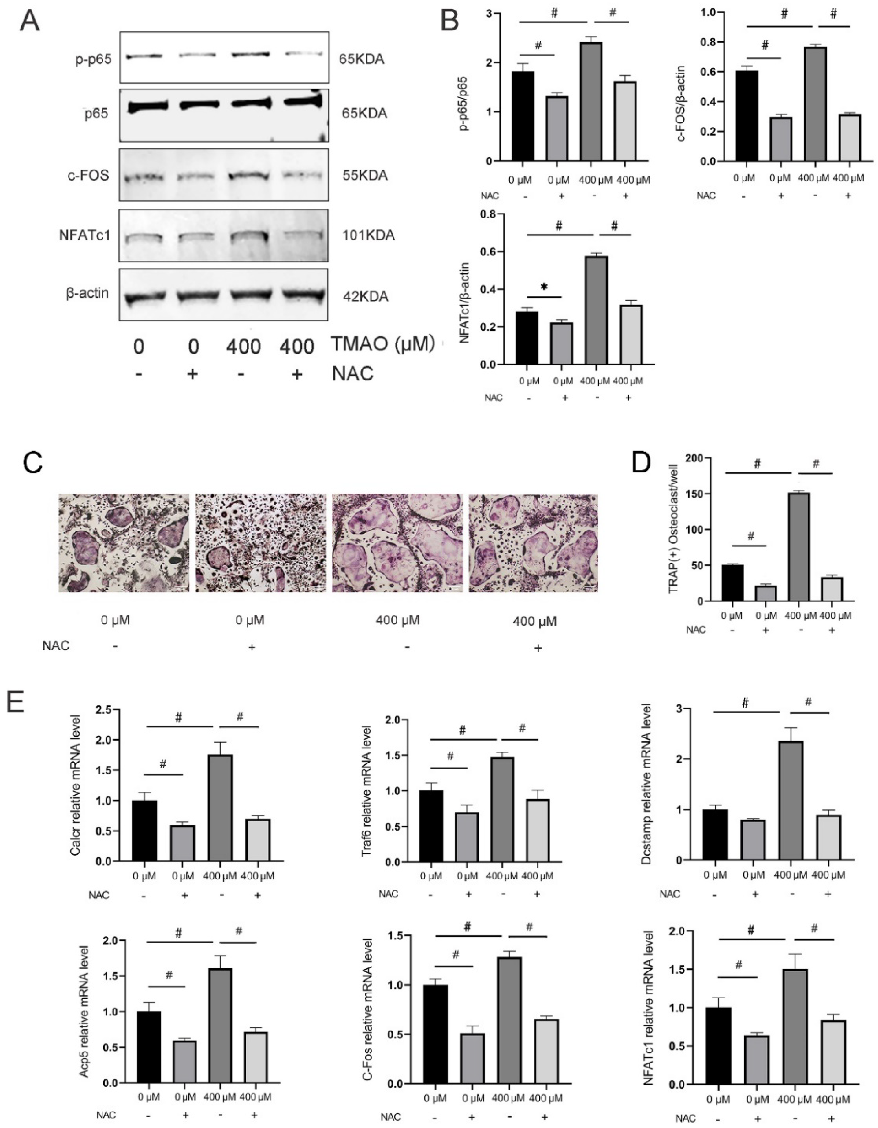 Nutrients 14 03955 g006 Nutrients 14 03955 g006