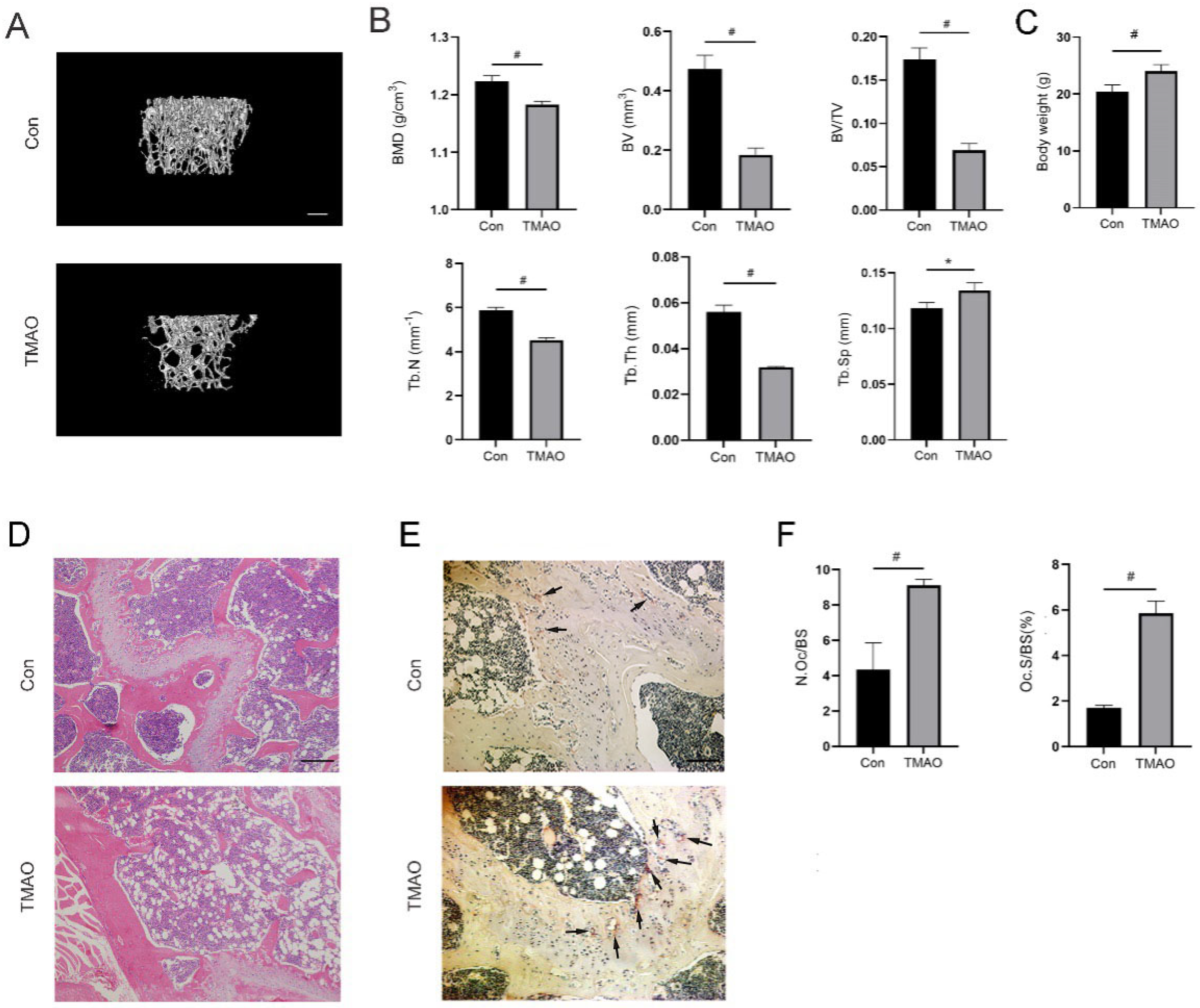 Nutrients 14 03955 g007 Nutrients 14 03955 g007
