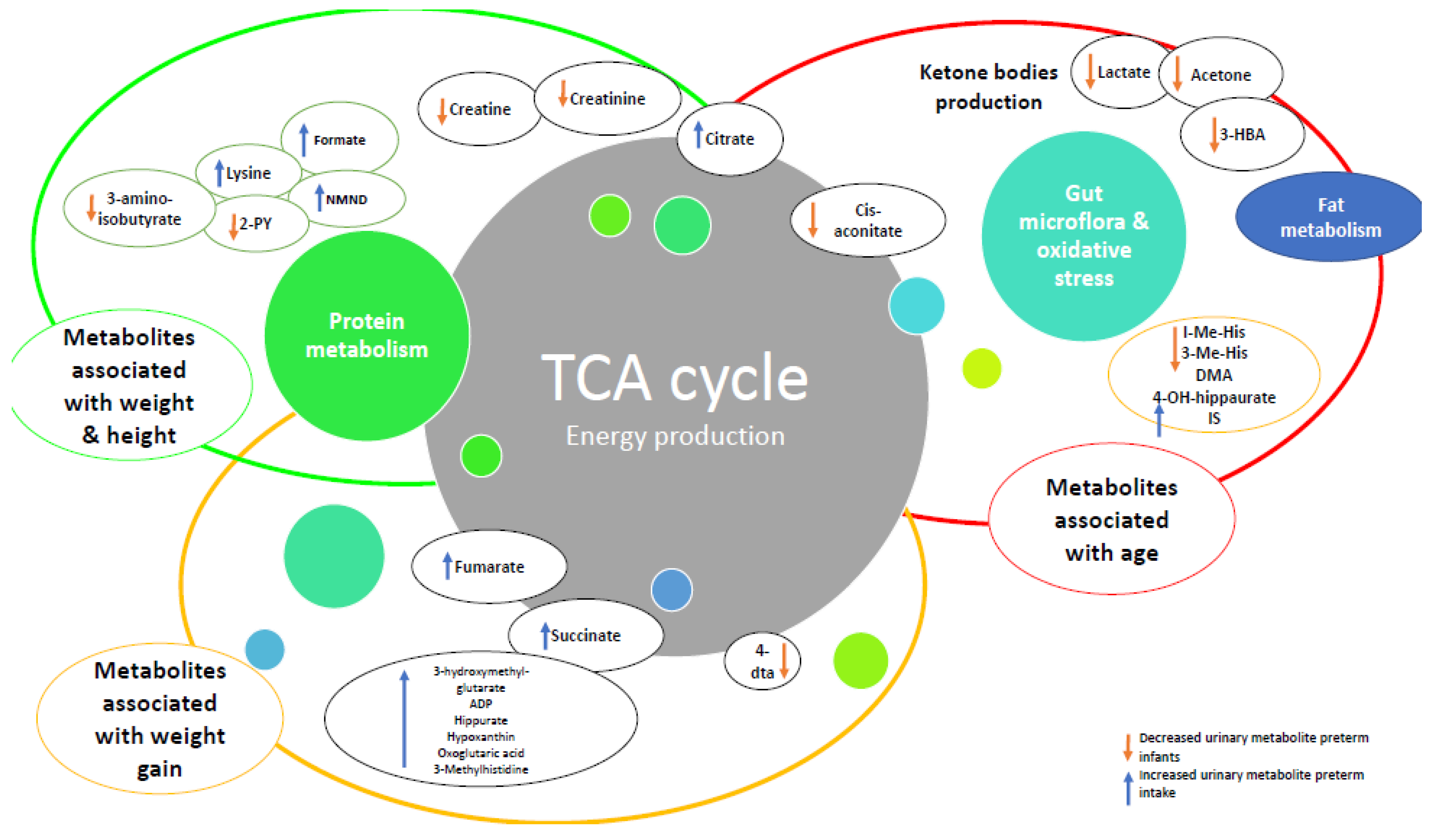 Nutrients 14 03957 g003 Nutrients 14 03957 g003