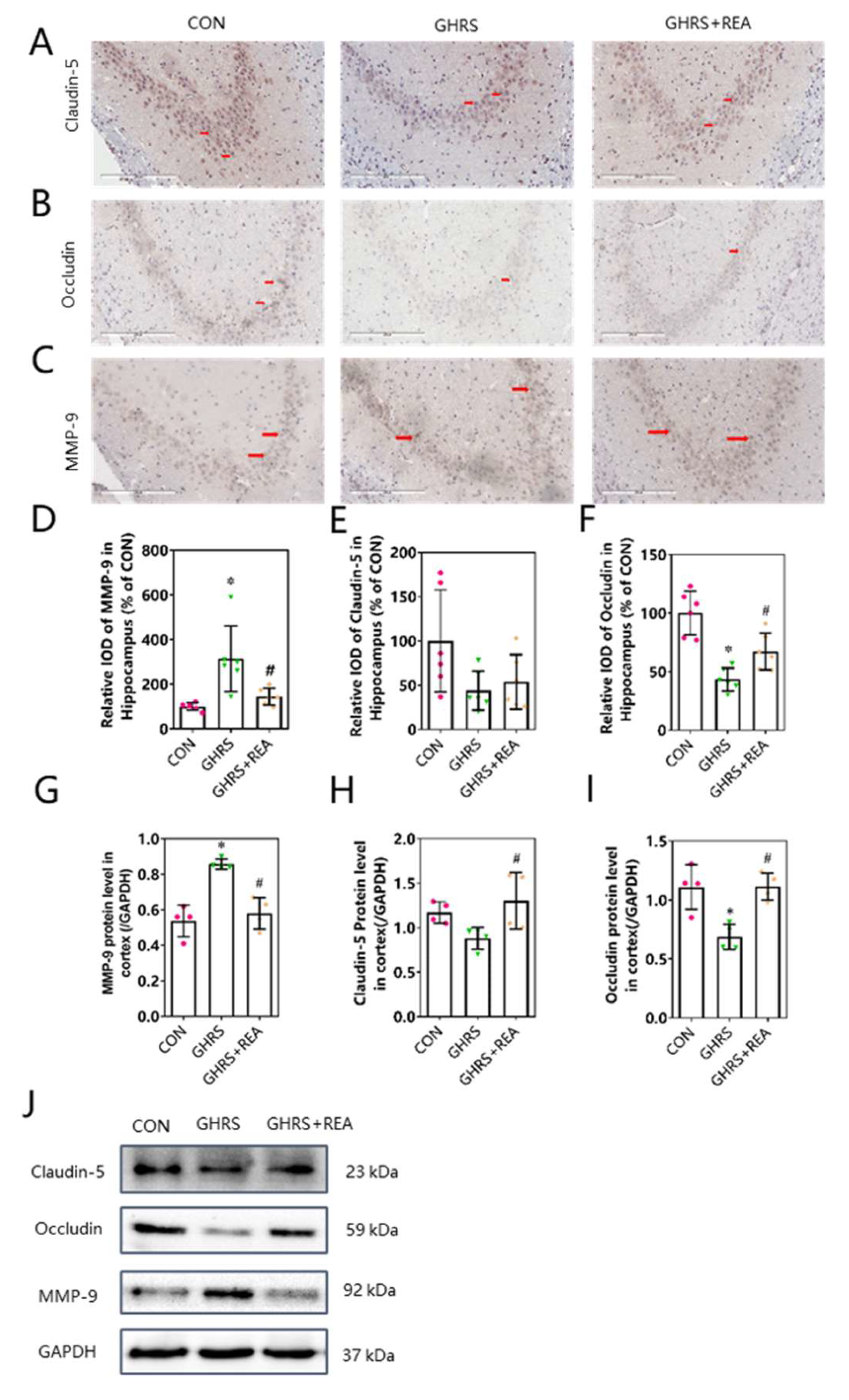 Nutrients 14 03958 g004