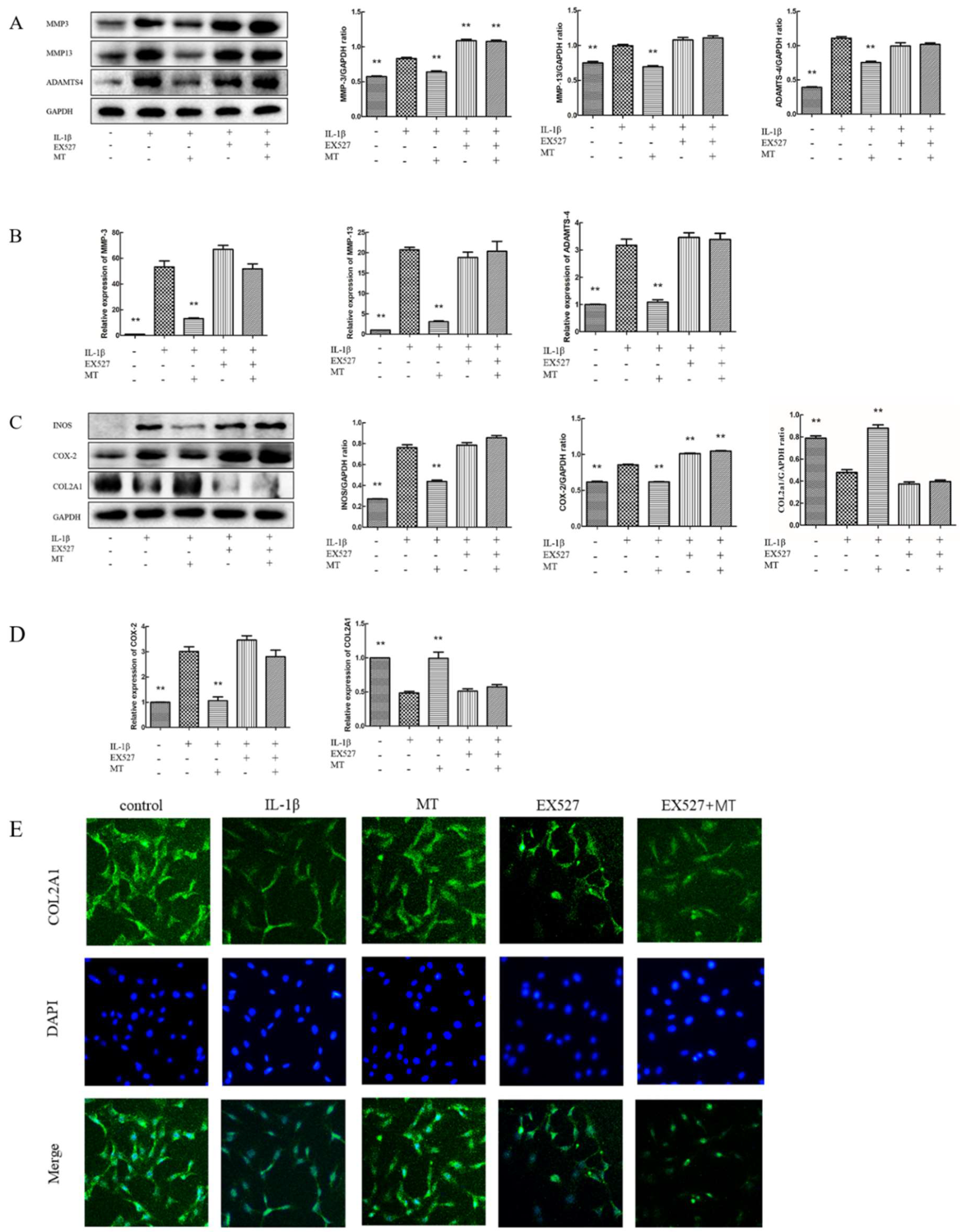 Nutrients 14 03966 g008 Nutrients 14 03966 g008