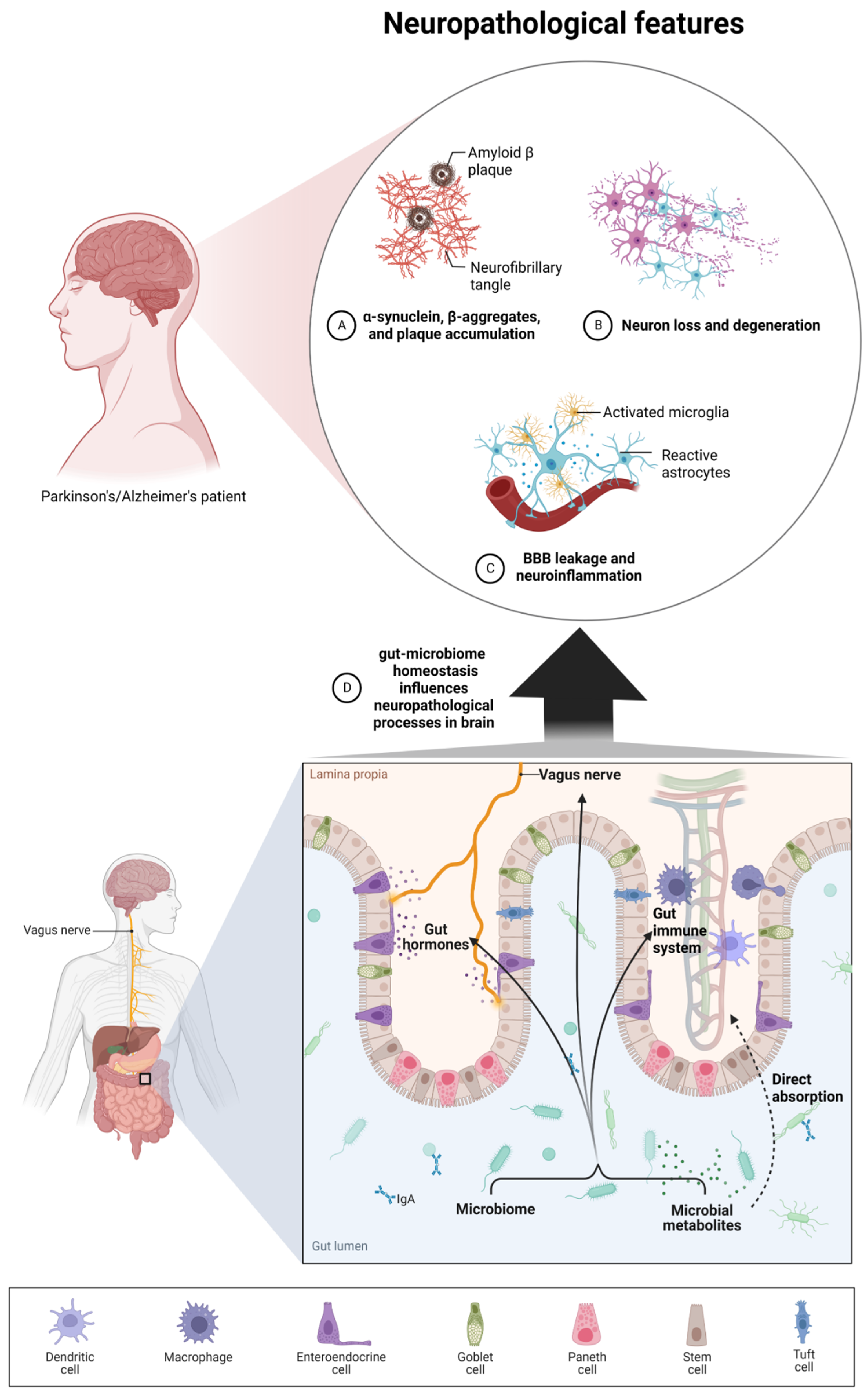 Nutrients 14 03967 g001