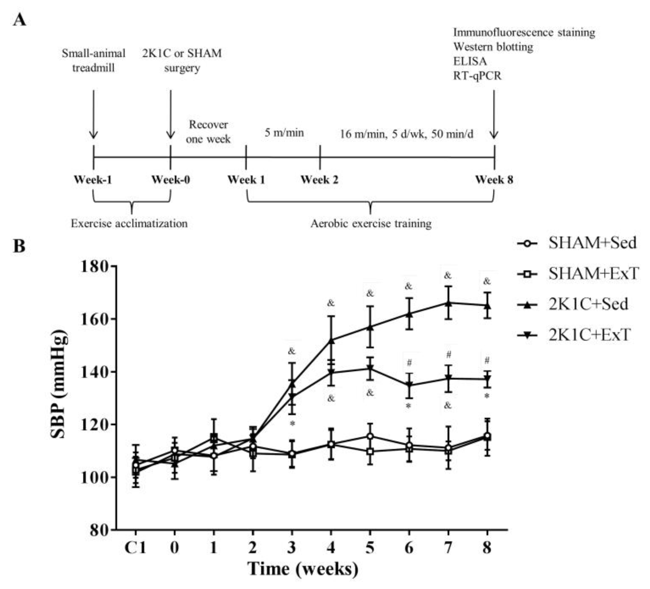 Nutrients 14 03968 g001 Nutrients 14 03968 g001