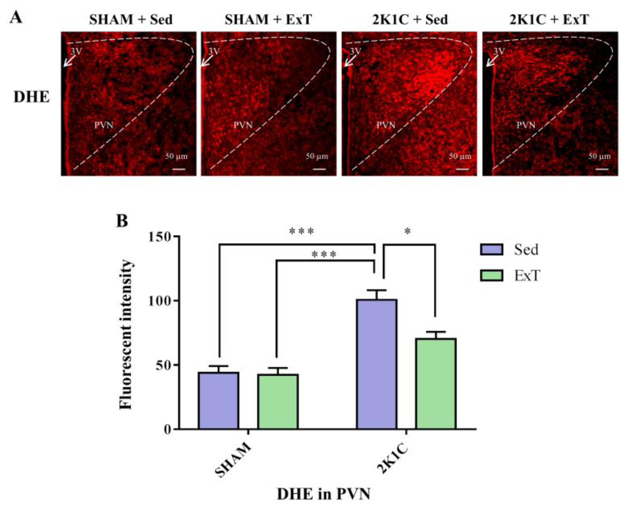 Nutrients 14 03968 g004 Nutrients 14 03968 g004
