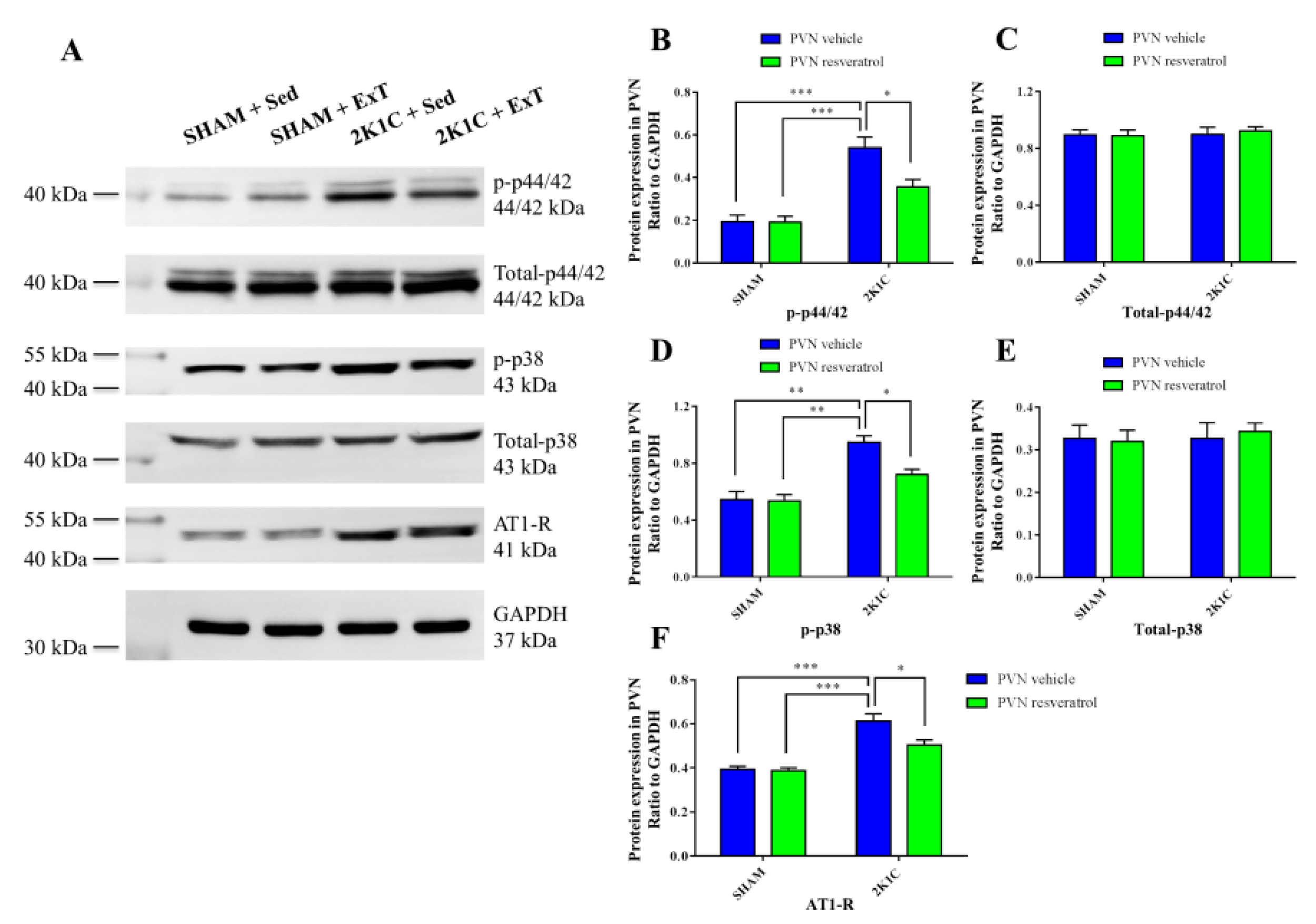 Nutrients 14 03968 g006 Nutrients 14 03968 g006
