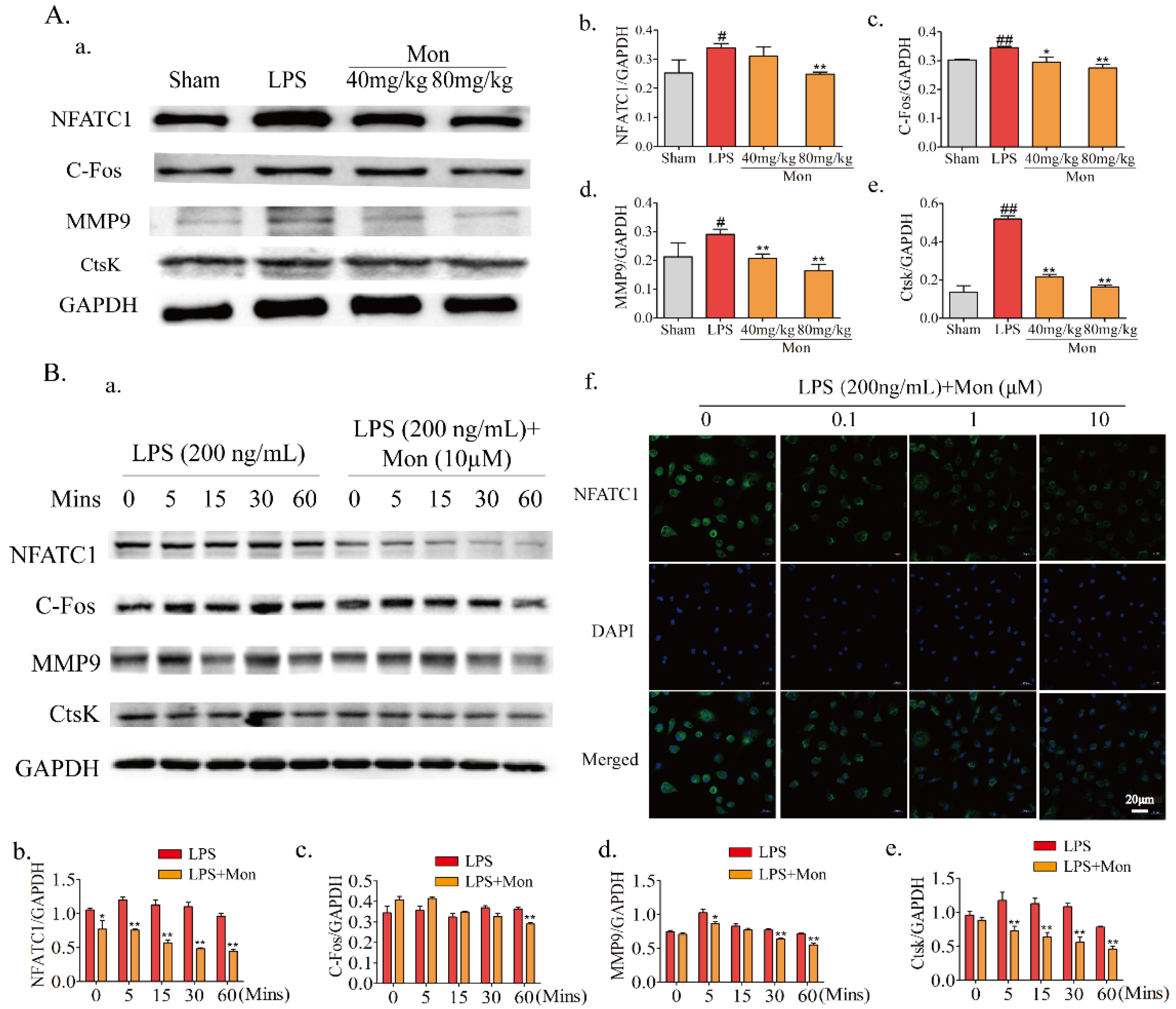 Nutrients 14 03978 g006