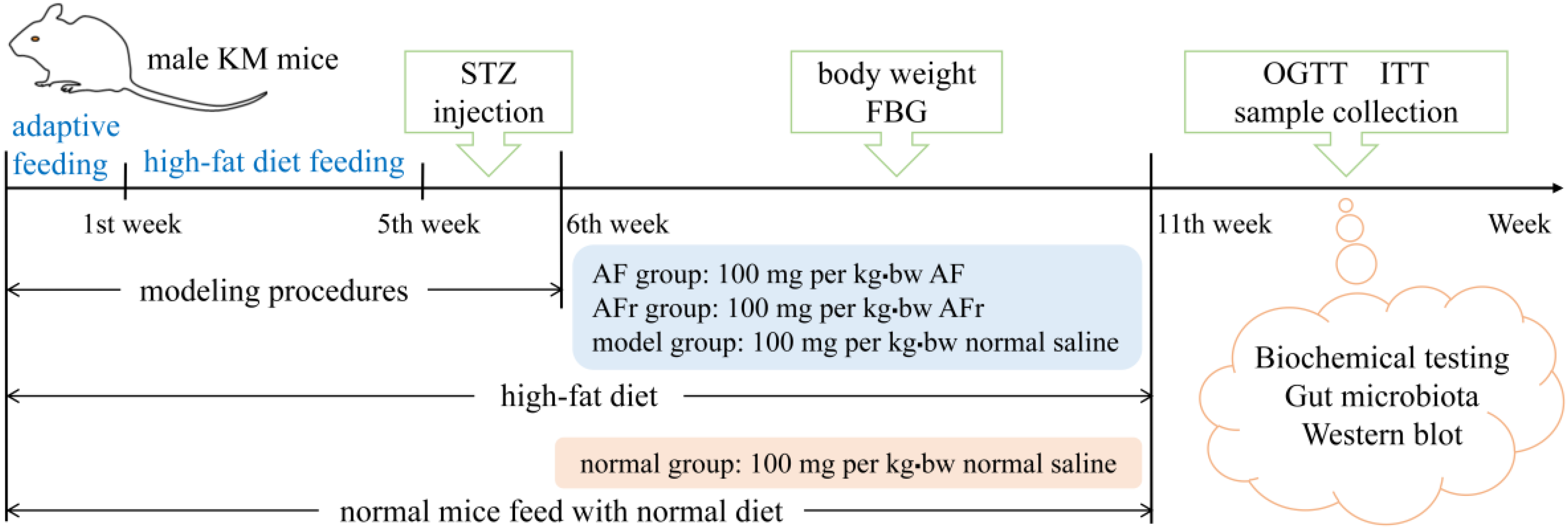 Nutrients 14 03980 g001