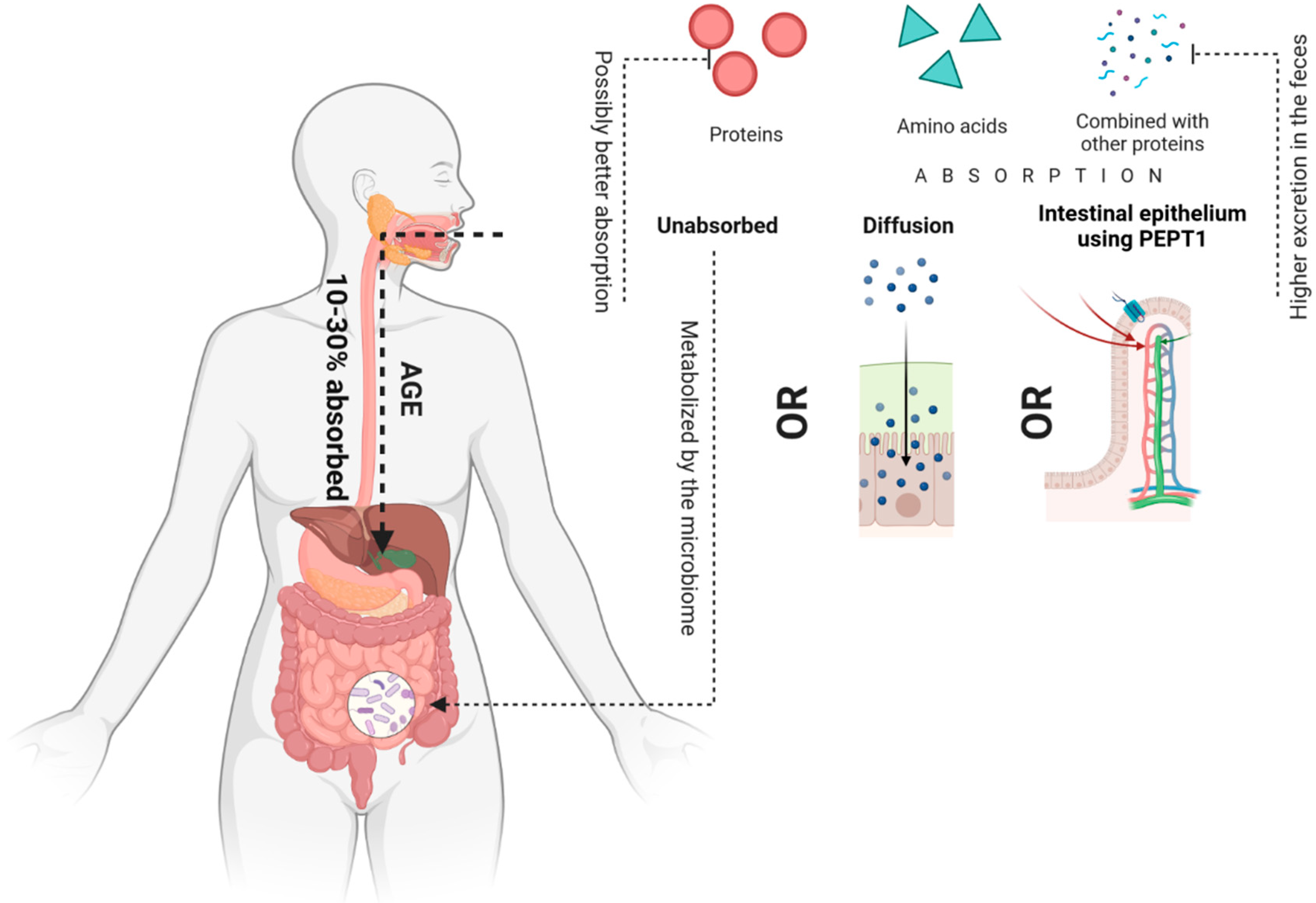 Nutrients 14 03982 g003