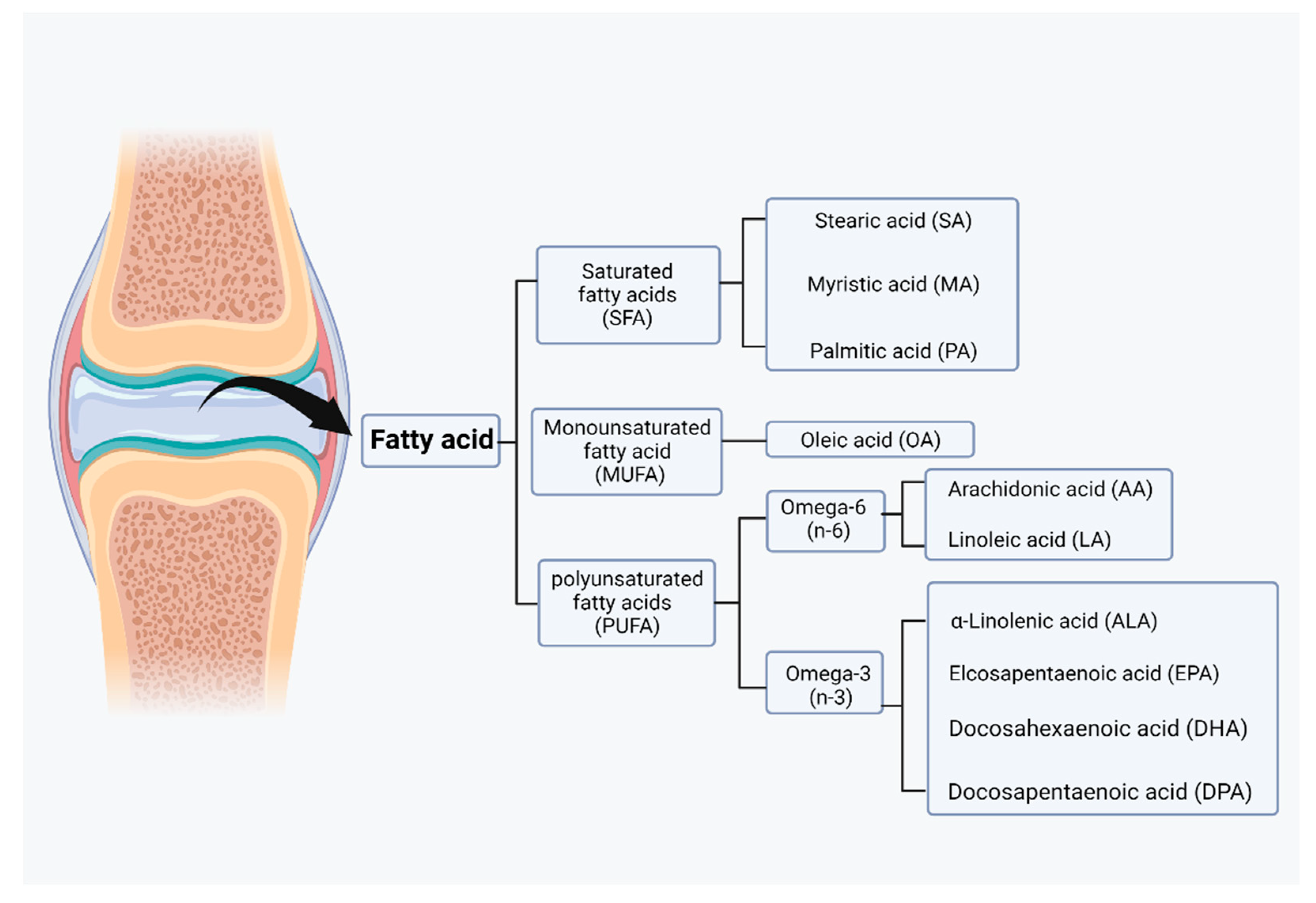 Nutrients 14 03984 g003 Nutrients 14 03984 g003