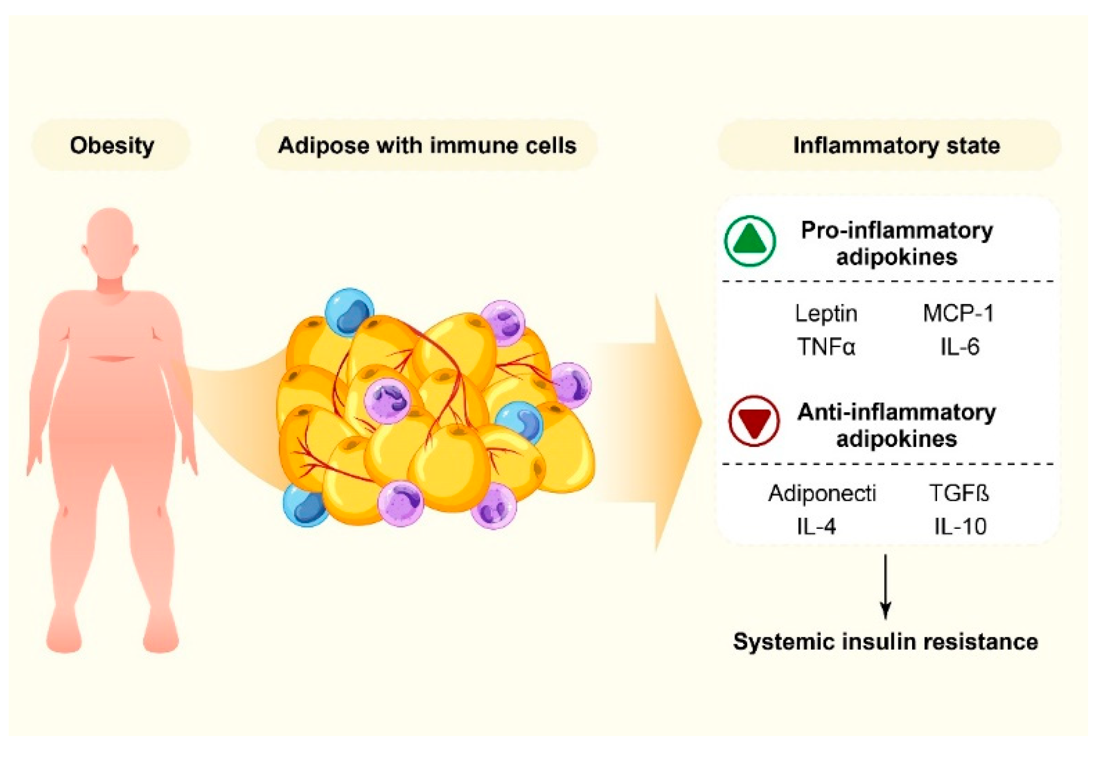 Nutrients 14 03985 g002