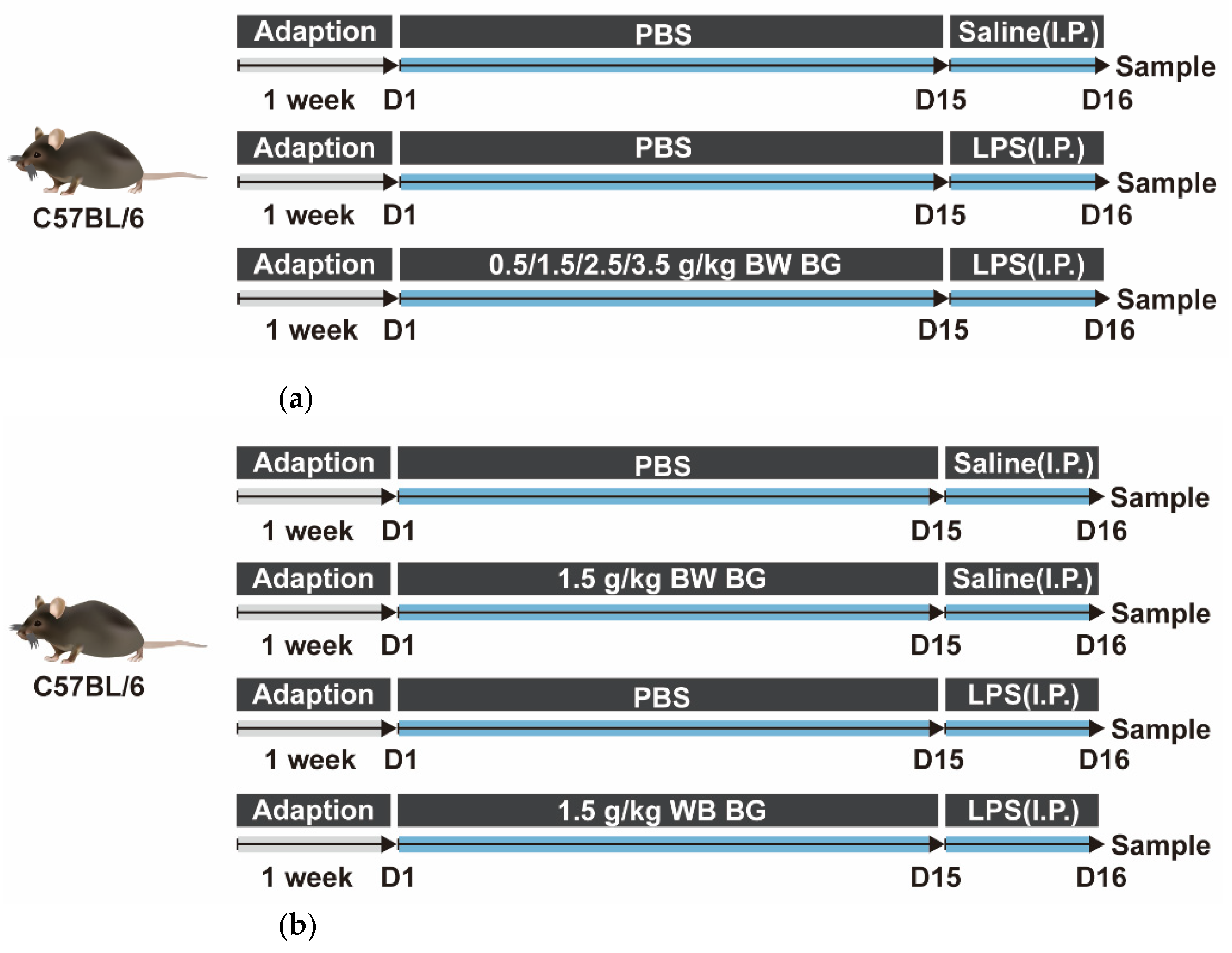 Nutrients 14 03991 g001 Nutrients 14 03991 g001