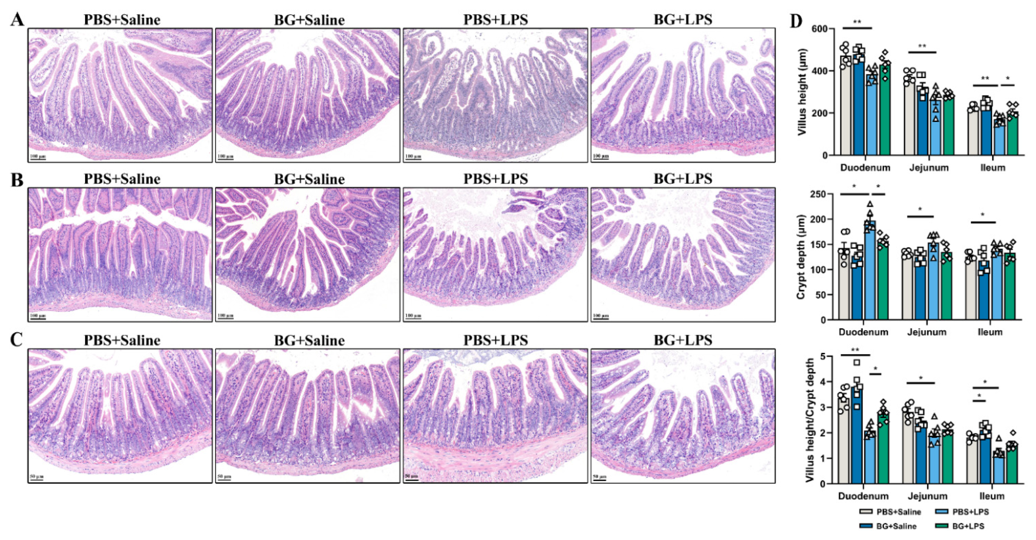 Nutrients 14 03991 g003 Nutrients 14 03991 g003